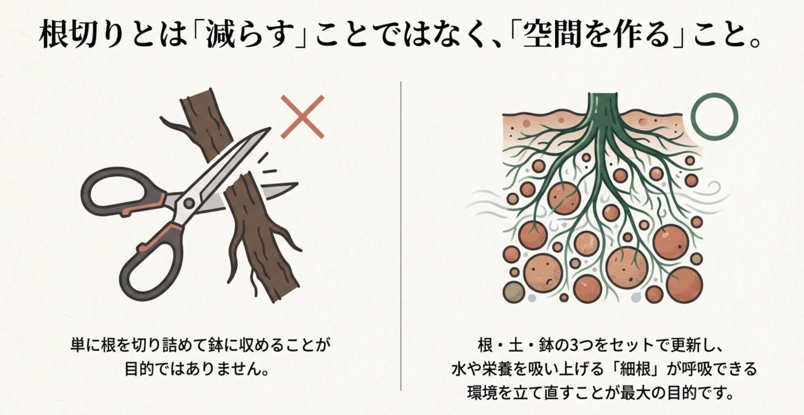 根切りは減らすことではなく空間を作ること。細根が呼吸できる環境を立て直す目的を説明するイラスト。