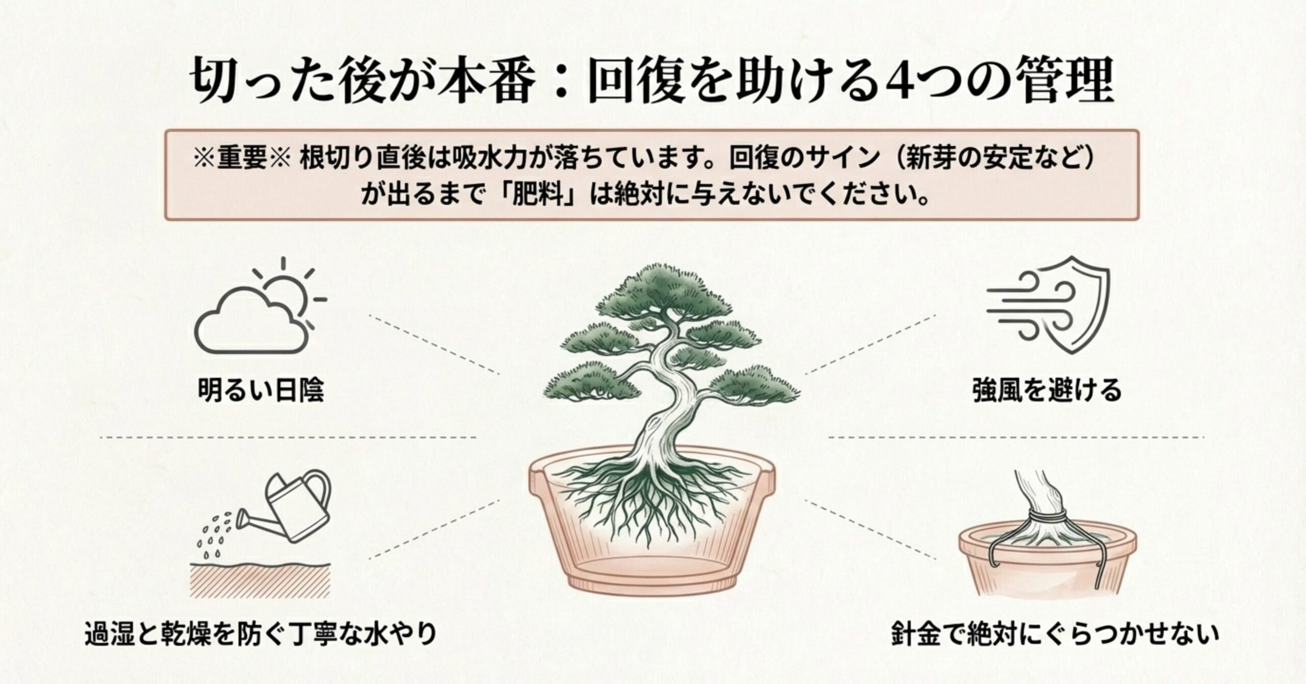 根切り後の管理。明るい日陰、強風回避、丁寧な水やり、針金での固定の4つの重要ポイント。