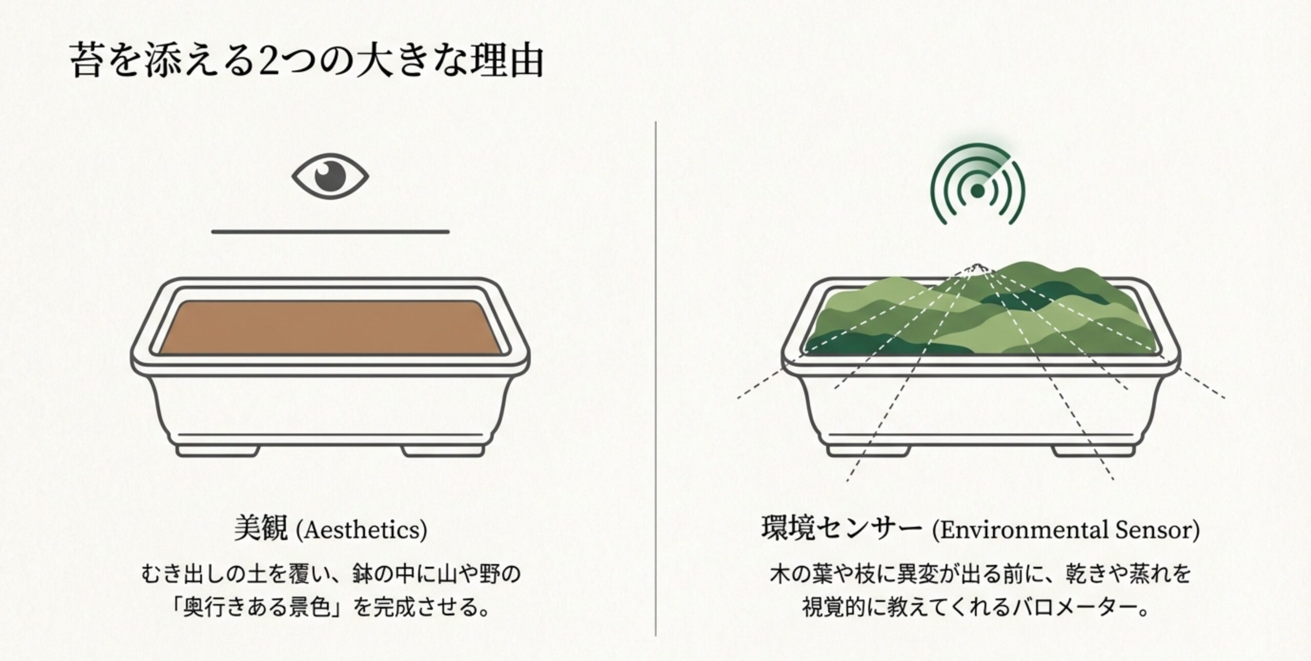 苔を添える理由として、奥行きある景色を作る「美観」と、乾きや蒸れを視覚的に教える「環境センサー」の2点を説明する図解。