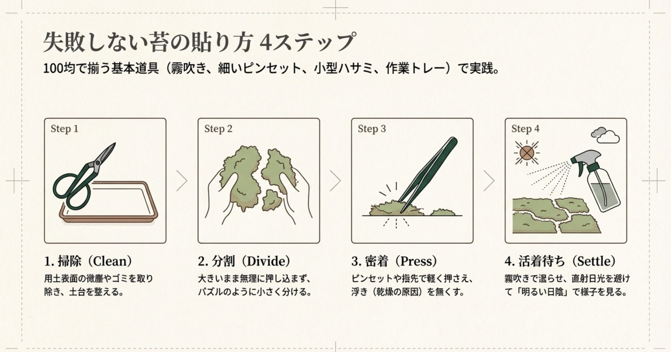 1.掃除、2.分割、3.密着、4.活着待ちの4工程をイラストで解説。ピンセットや霧吹きを使った作業イメージ。
