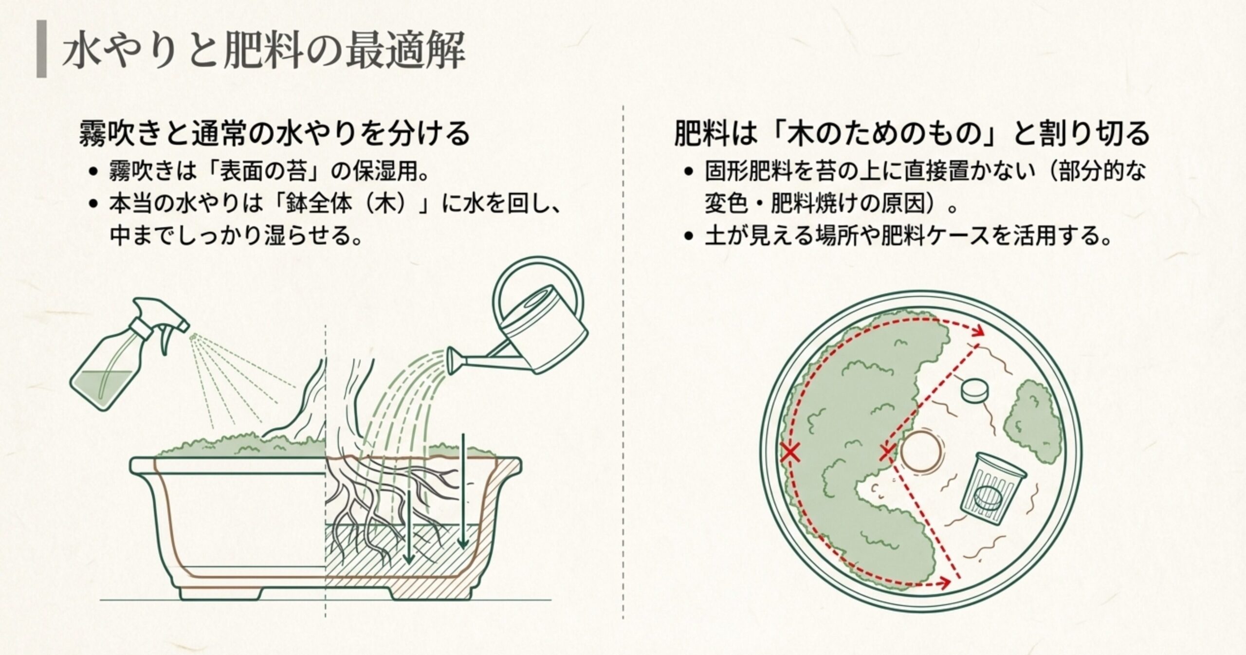 表面の苔を潤す「霧吹き」と、木のために鉢の中まで湿らせる「水やり」を分けること、肥料を苔に直接置かないことを示す図解。