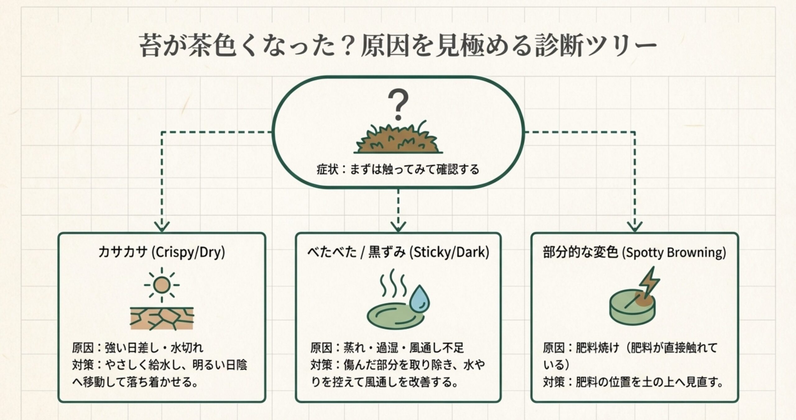 苔の状態が「カサカサ」か「べたべた」か「部分的」かによって、乾燥・蒸れ・肥料焼けなどの原因と対策を判別するフローチャート。