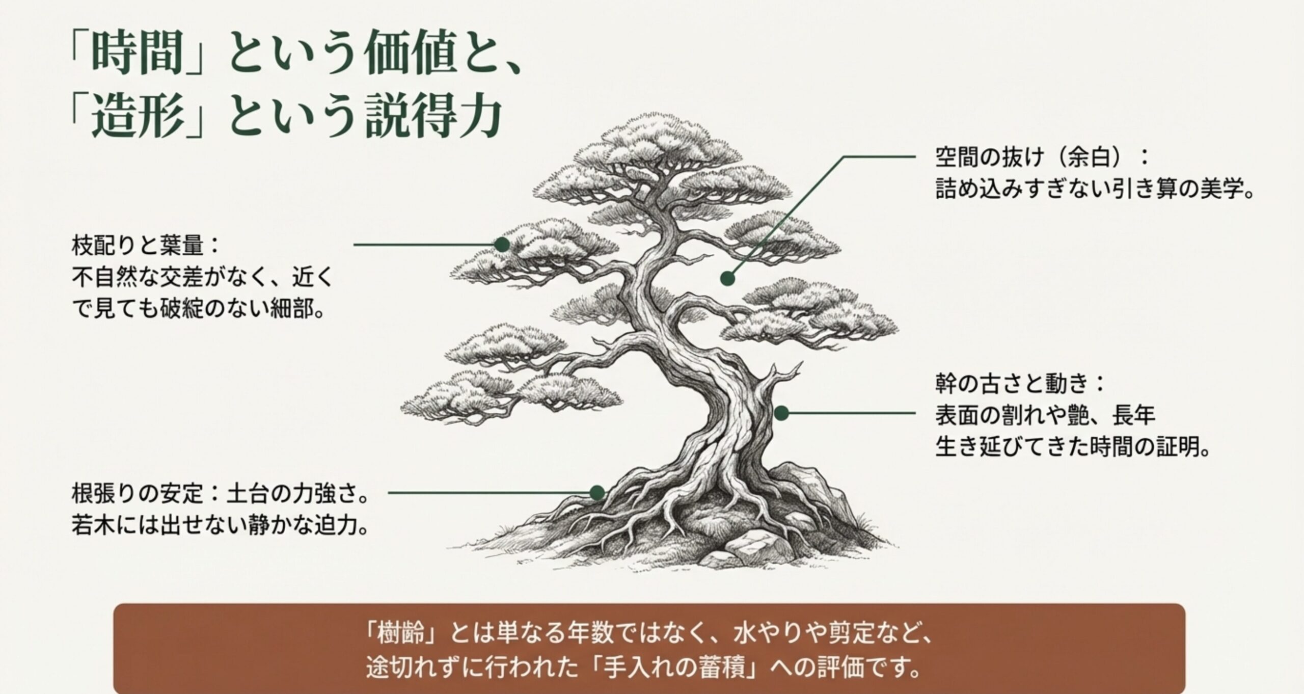 枝配り、根張り、余白、幹の古さなど、盆栽の美しさや手入れの蓄積を見極めるポイントを解説したイラスト。