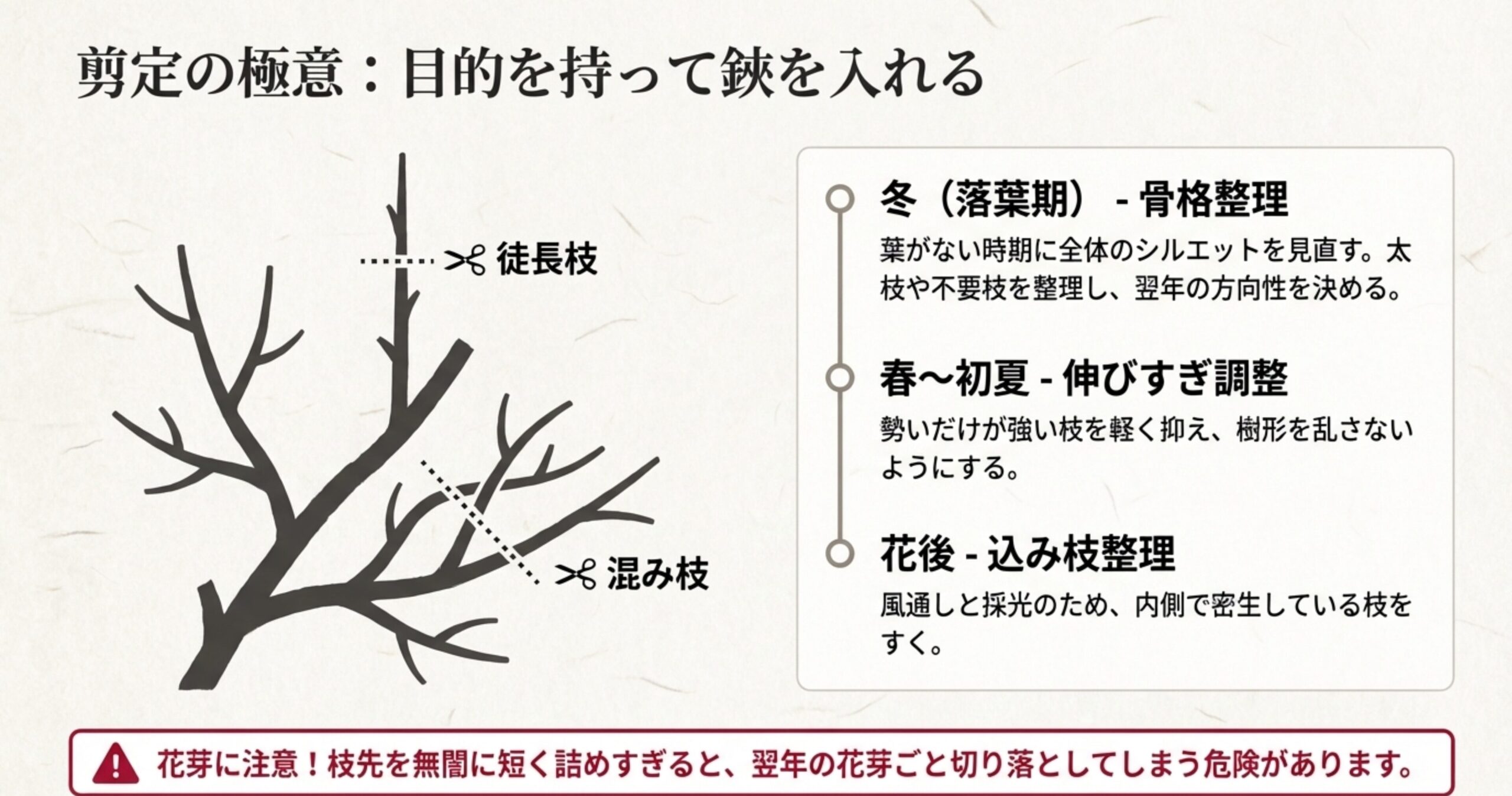 徒長枝や混み枝の切り方を示すイラストと、冬の骨格整理、春の調整、花後の枝すかしという時期別の目的を解説した図解。