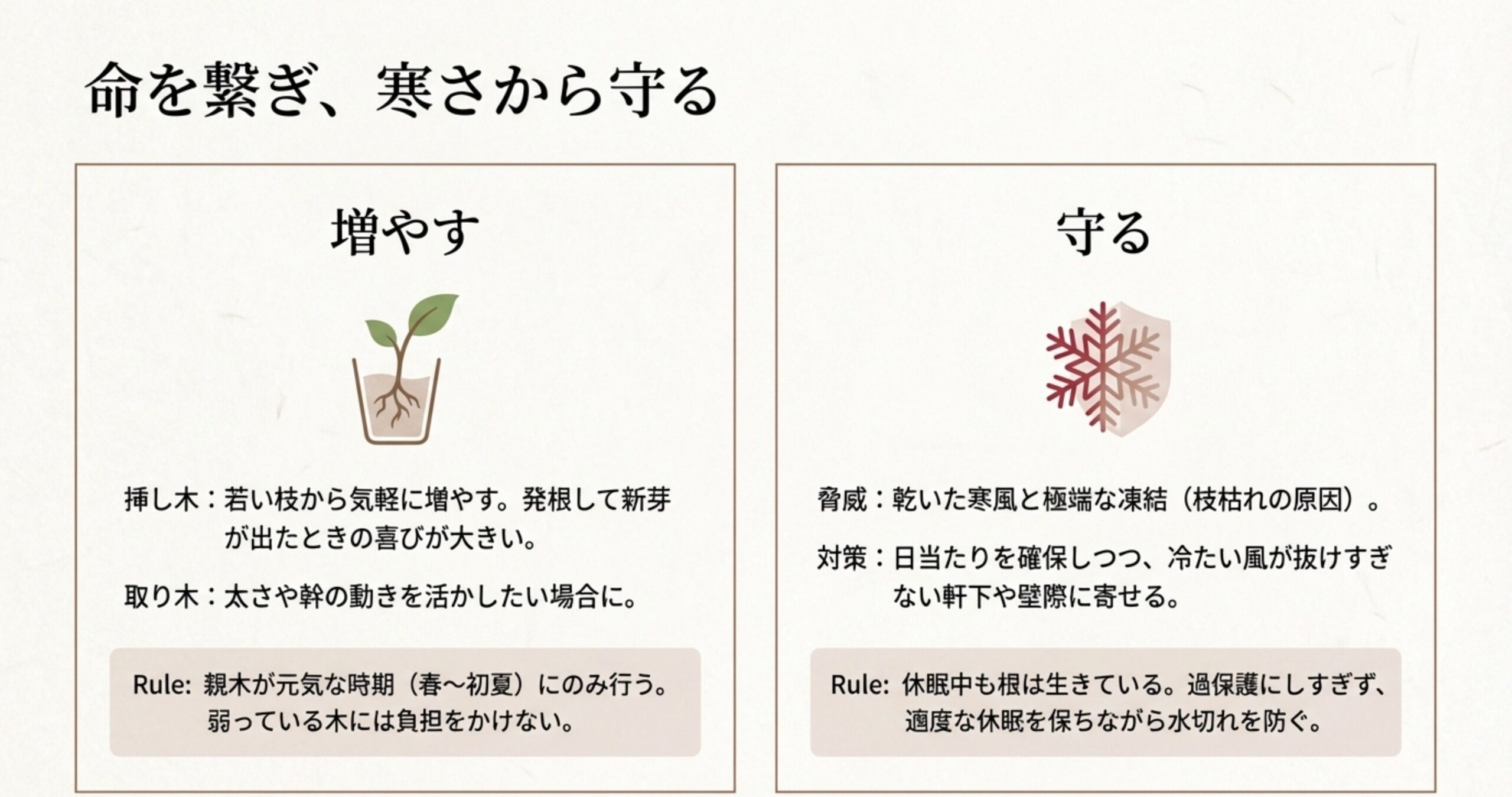 挿し木・取り木のルール(親木の元気が優先)と、冬の枝枯れを防ぐための寒風・凍結対策をまとめたスライド。