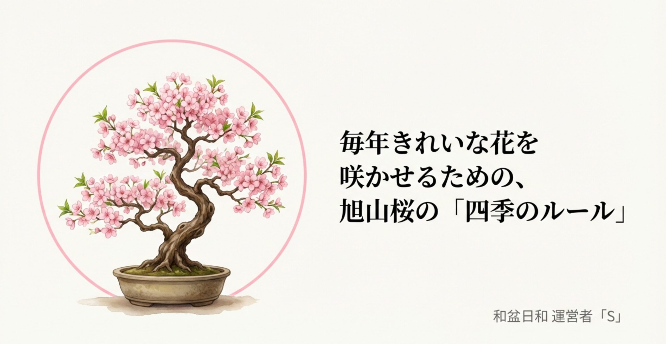 満開の旭山桜の盆栽のイラストと「毎年きれいな花を咲かせるための旭山桜の四季のルール」というタイトル
