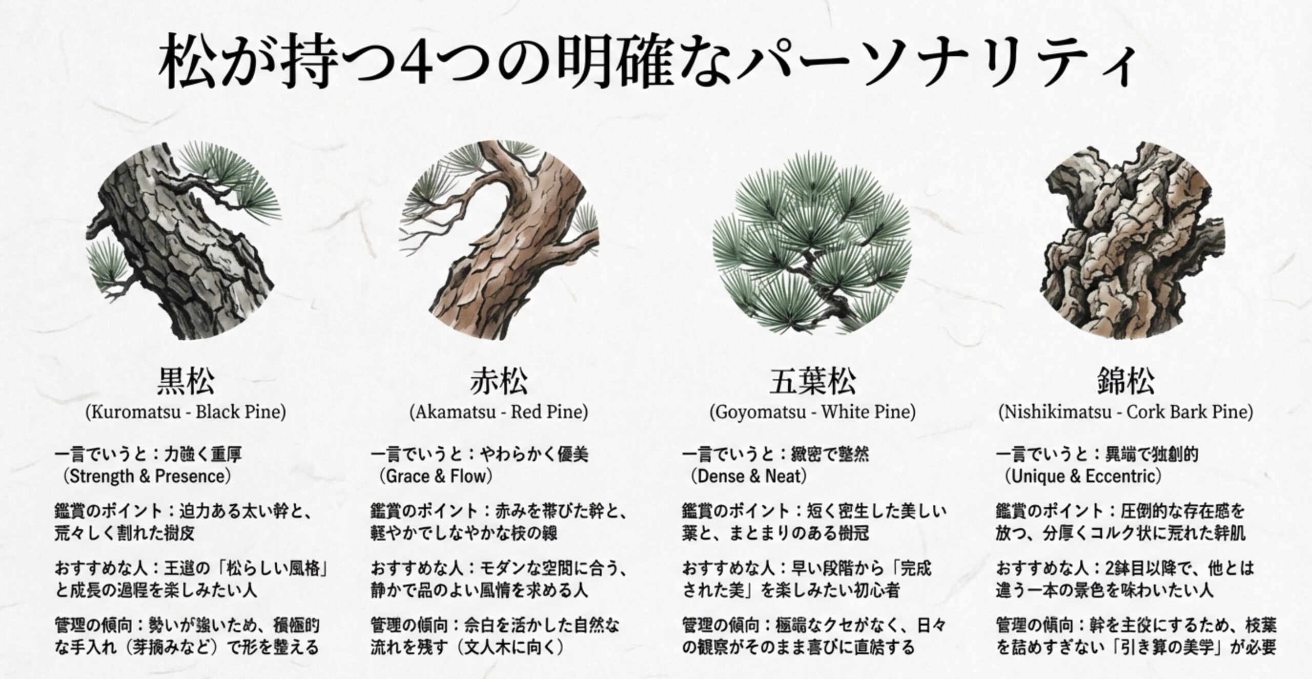黒松、赤松、五葉松、錦松の4種類の松の特徴、おすすめの人、管理の傾向を比較したまとめ表