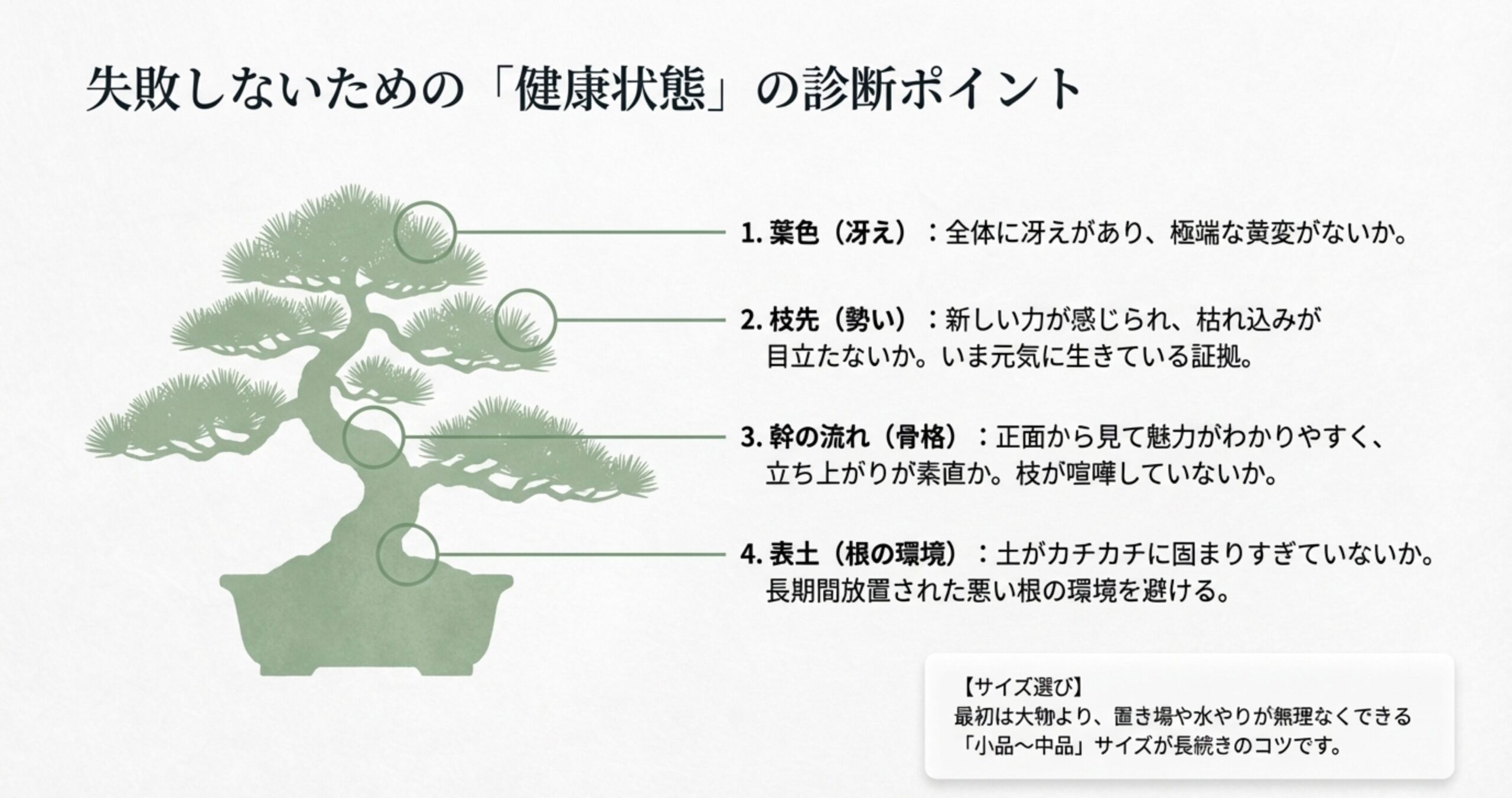葉色、枝先、幹の流れ、表土の4つのチェック項目とサイズ選びのコツをまとめた診断ガイド
