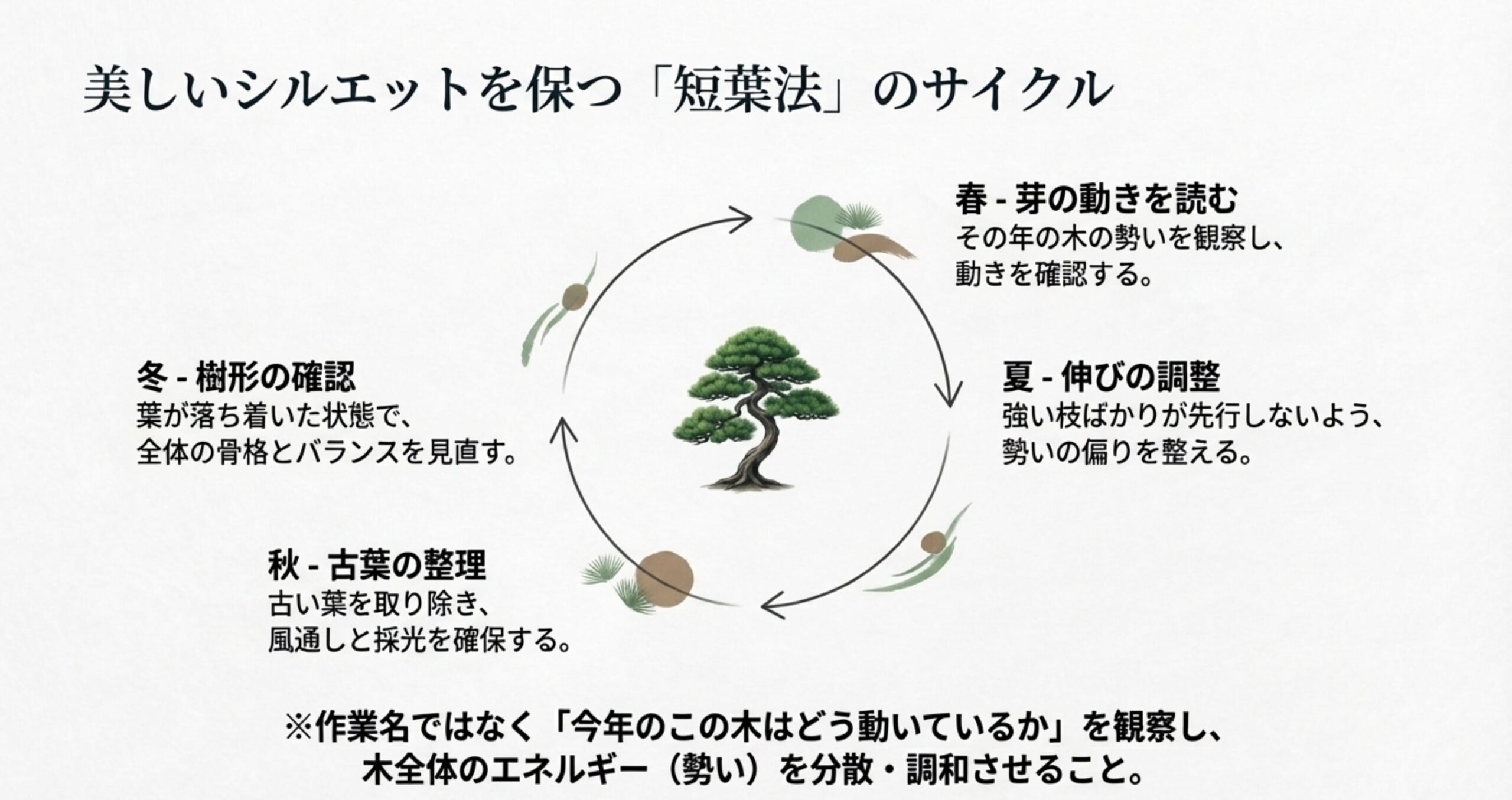 春・夏・秋・冬それぞれの芽の動きと管理の目的を環状に示した年間サイクル図