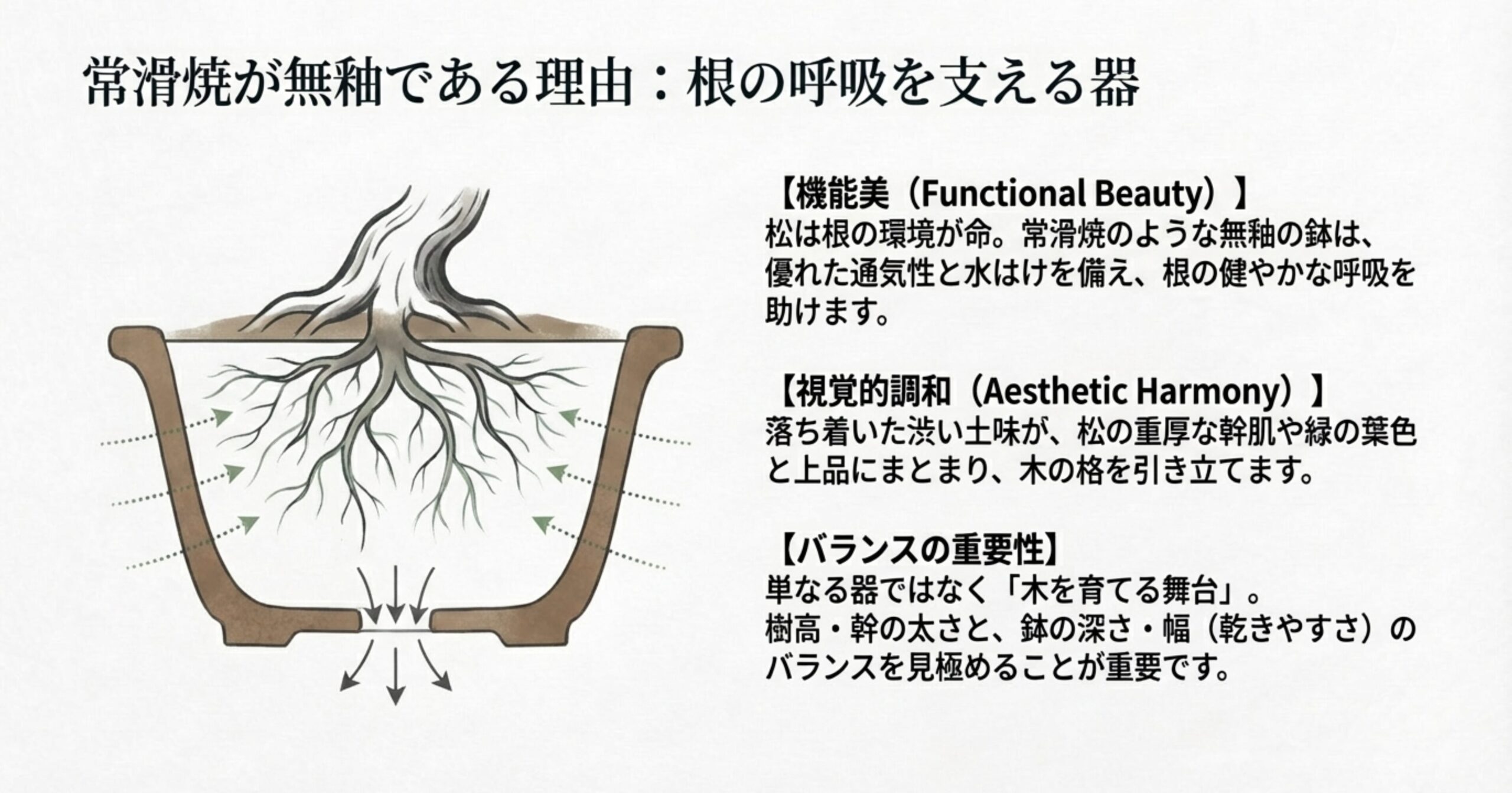 無釉の鉢が通気性と水はけを助け、松の根の呼吸をサポートする仕組みの図解