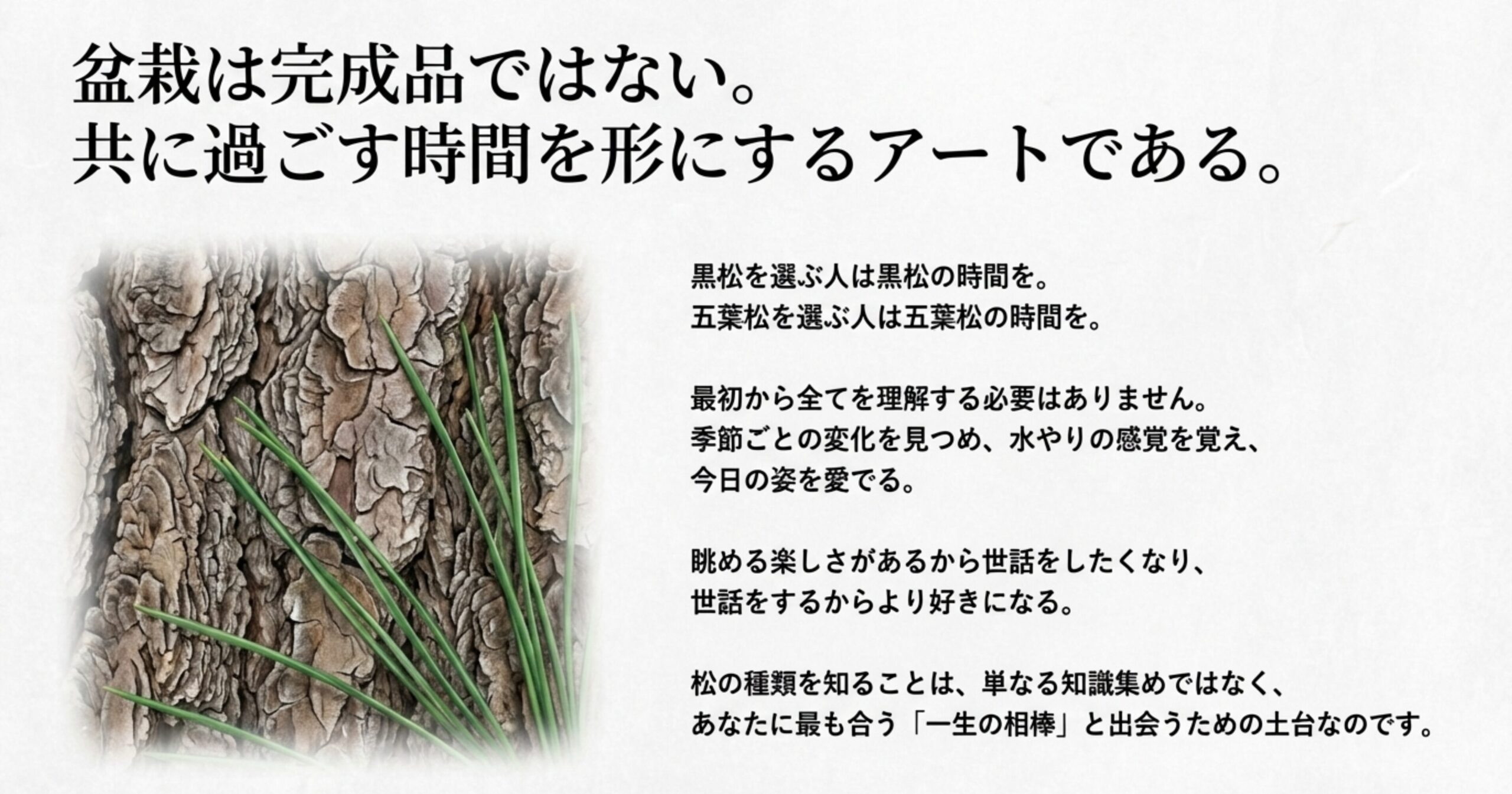 松の力強い樹皮のアップ画像に、盆栽と過ごす時間の哲学を添えたビジュアル