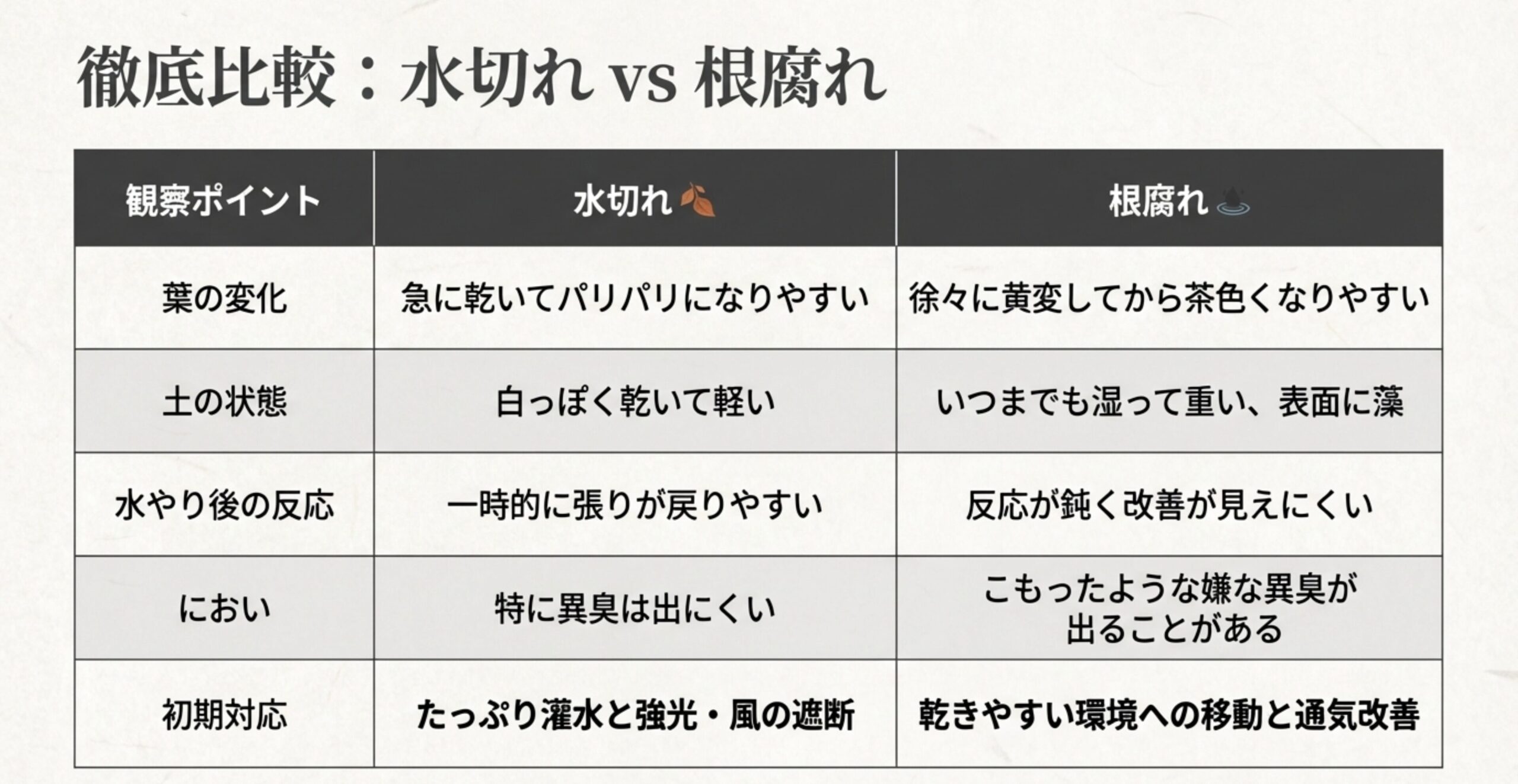 葉の変化、土の状態、水やり後の反応、におい、初期対応を「水切れ」と「根腐れ」で比較した一覧表