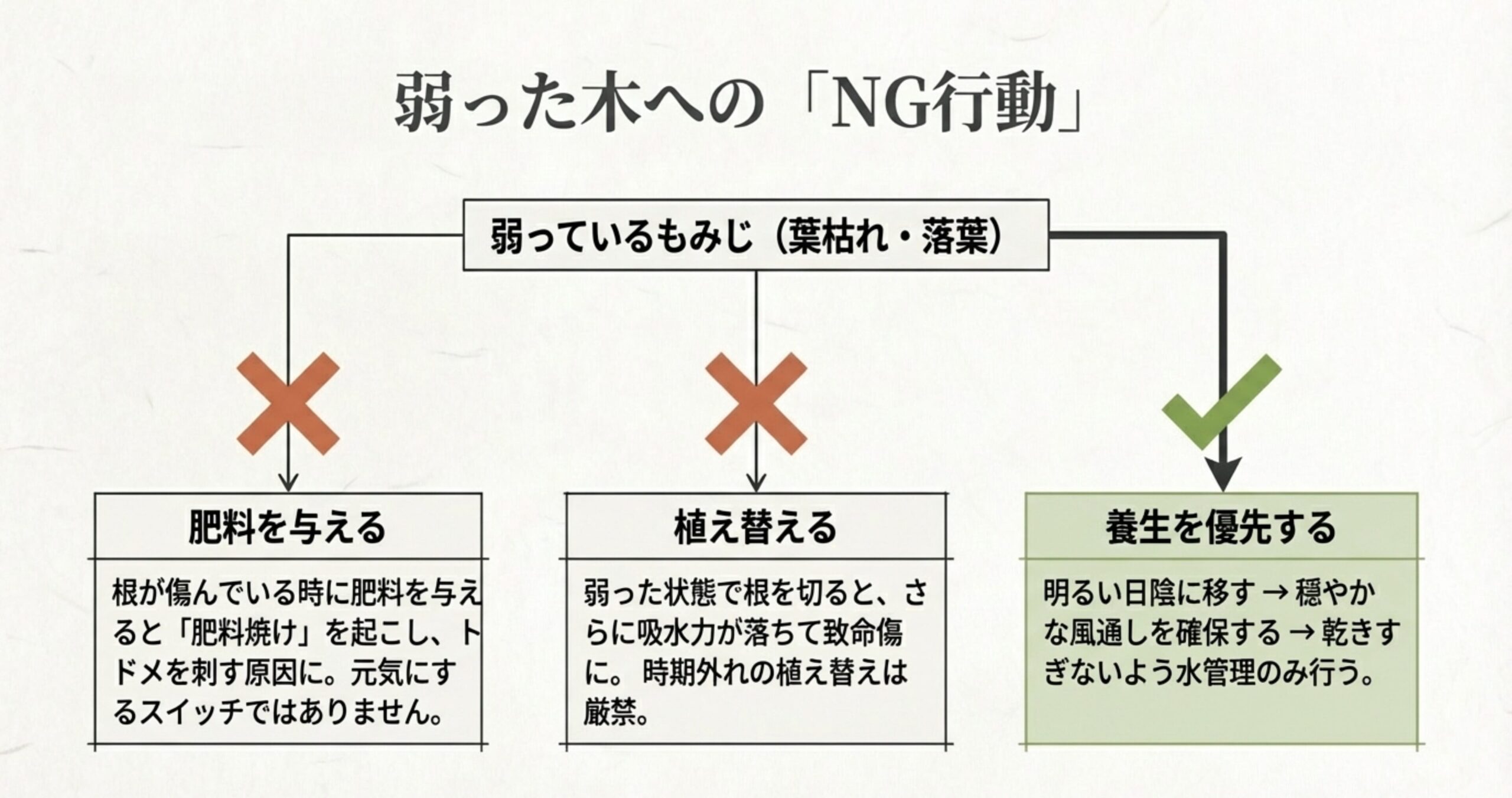 弱った木に肥料や植え替えが致命傷になる理由と、明るい日陰で風通しを確保する養生手順