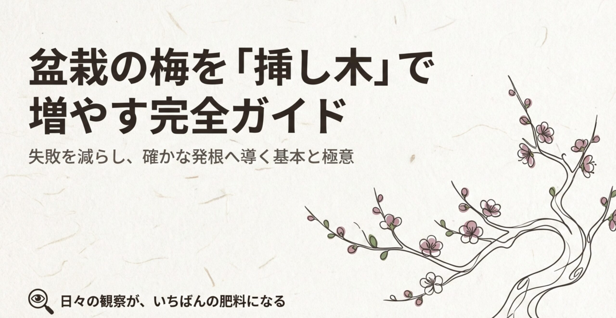 盆栽の梅を挿し木で増やす完全ガイド。失敗を減らし確かな発根へ導く基本と極意。