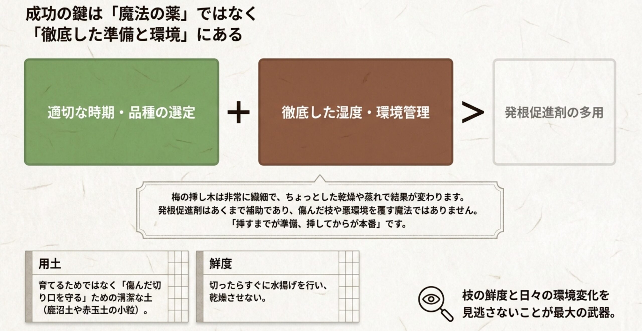 成功の鍵は魔法の薬ではなく、適切な時期・品種の選定と徹底した湿度・環境管理にあることを説明する図解。