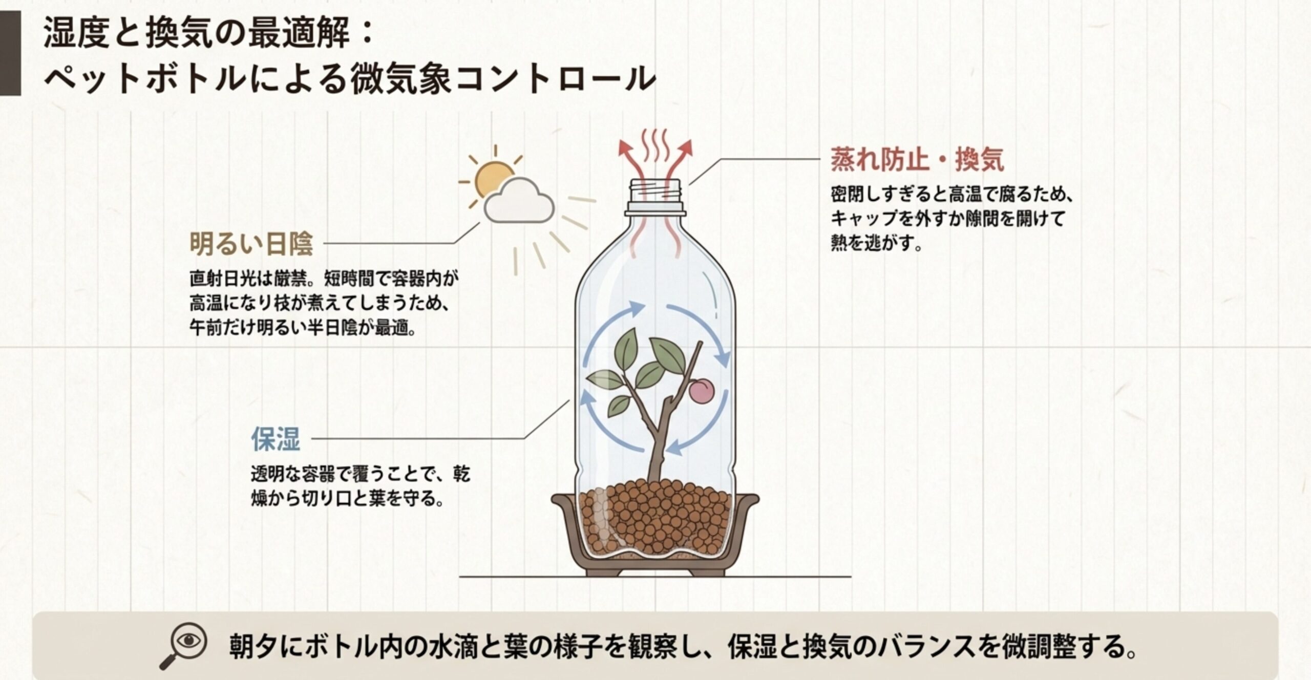 ペットボトルを用いた湿度管理（保湿）と蒸れ防止（換気）、置き場所（明るい日陰）のポイントをまとめた解説図。