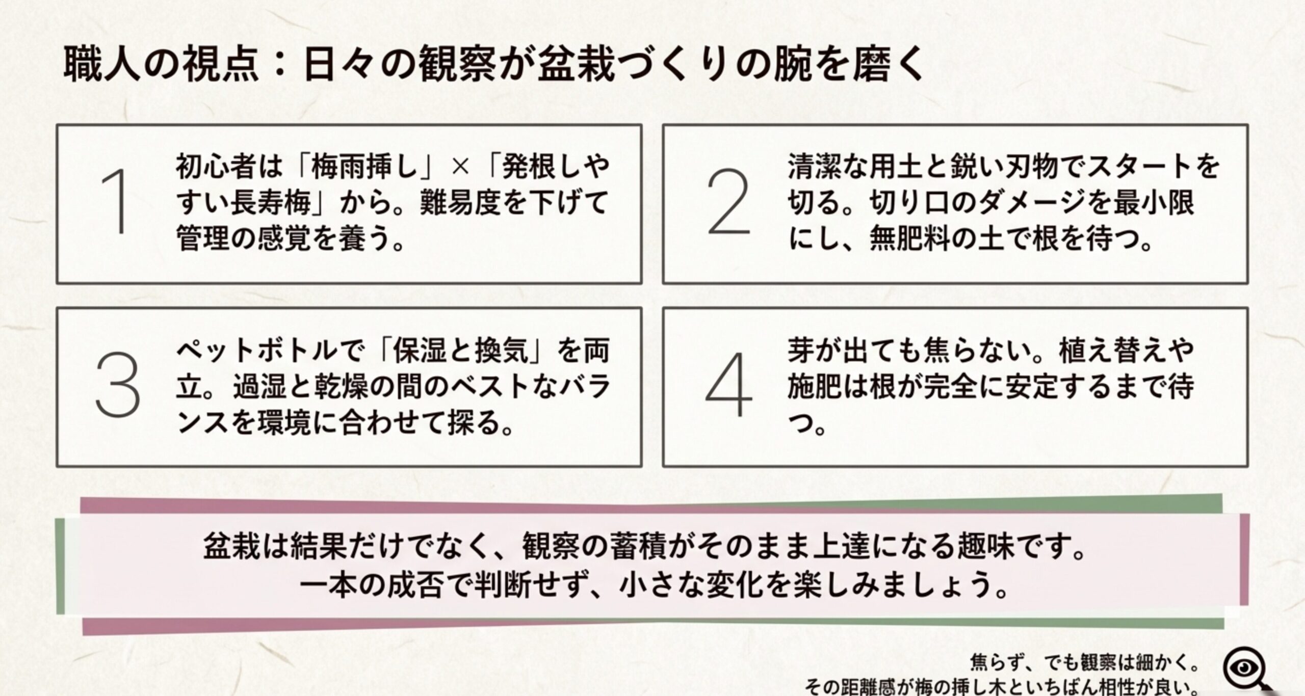 梅雨挿し×長寿梅での練習、清潔な用土と刃物、ペットボトルでのバランス調整、発根後の忍耐といった成功の要点をまとめた図。