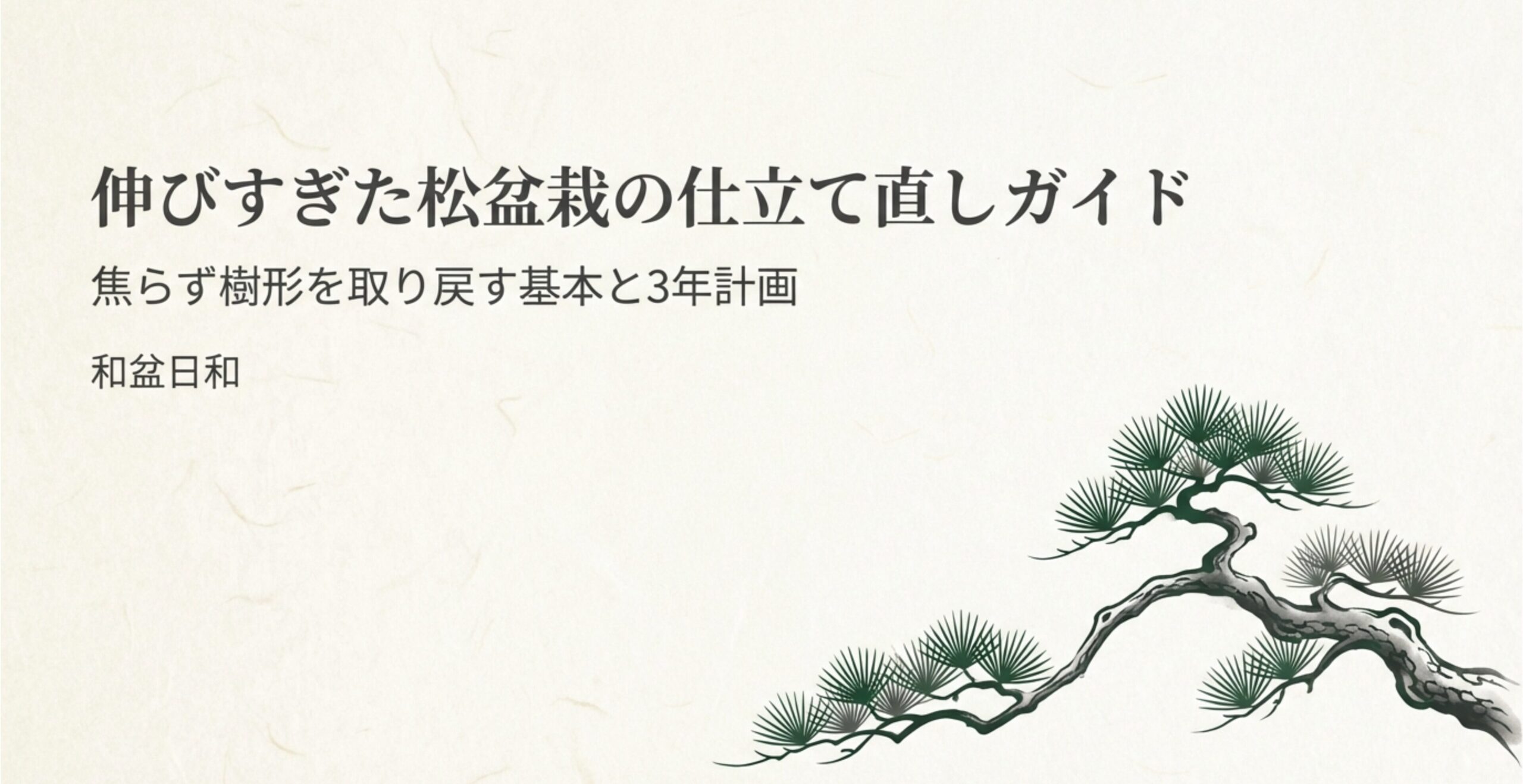 伸びすぎた松盆栽の樹形を3年かけて取り戻すための仕立て直しガイド表紙