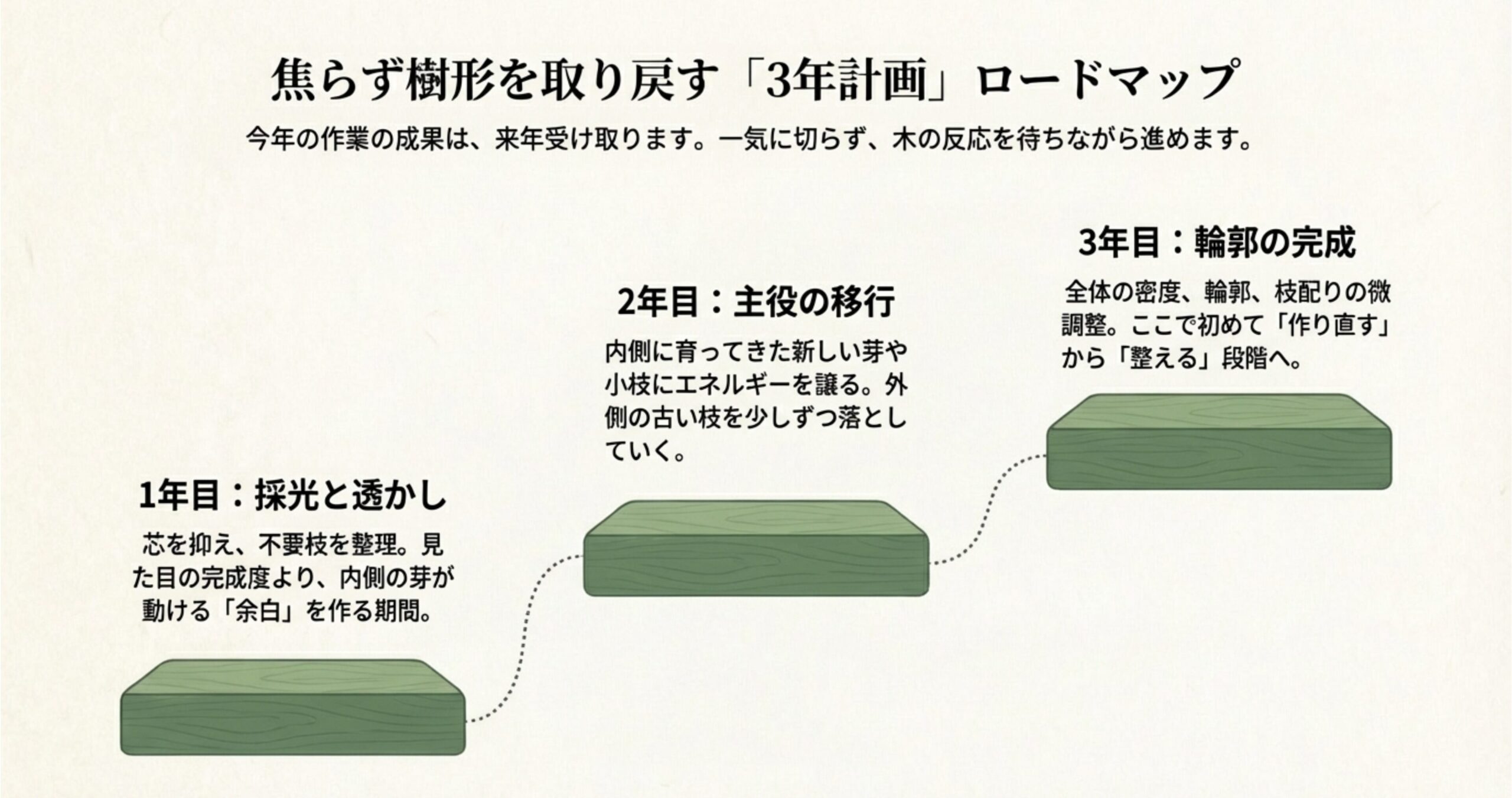 1年目の採光・透かし、2年目の主役移行、3年目の輪郭完成という、焦らず進める仕立て直しの流れ
