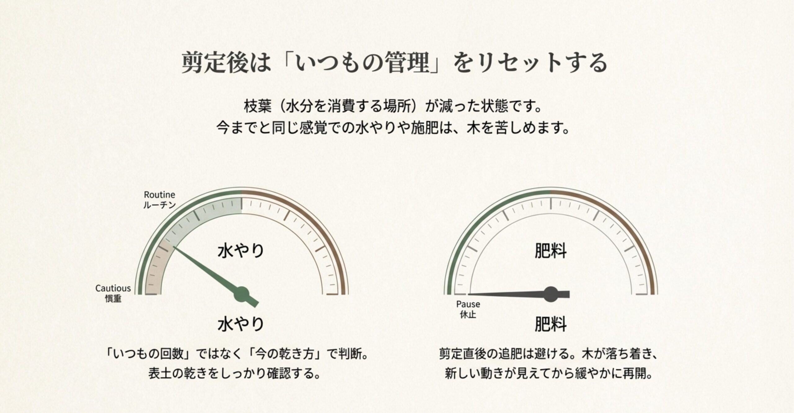 枝葉が減った後は「今の乾き方」で水やりを判断し、肥料は新しい動きが見えるまで休止するという管理のメーター図解
