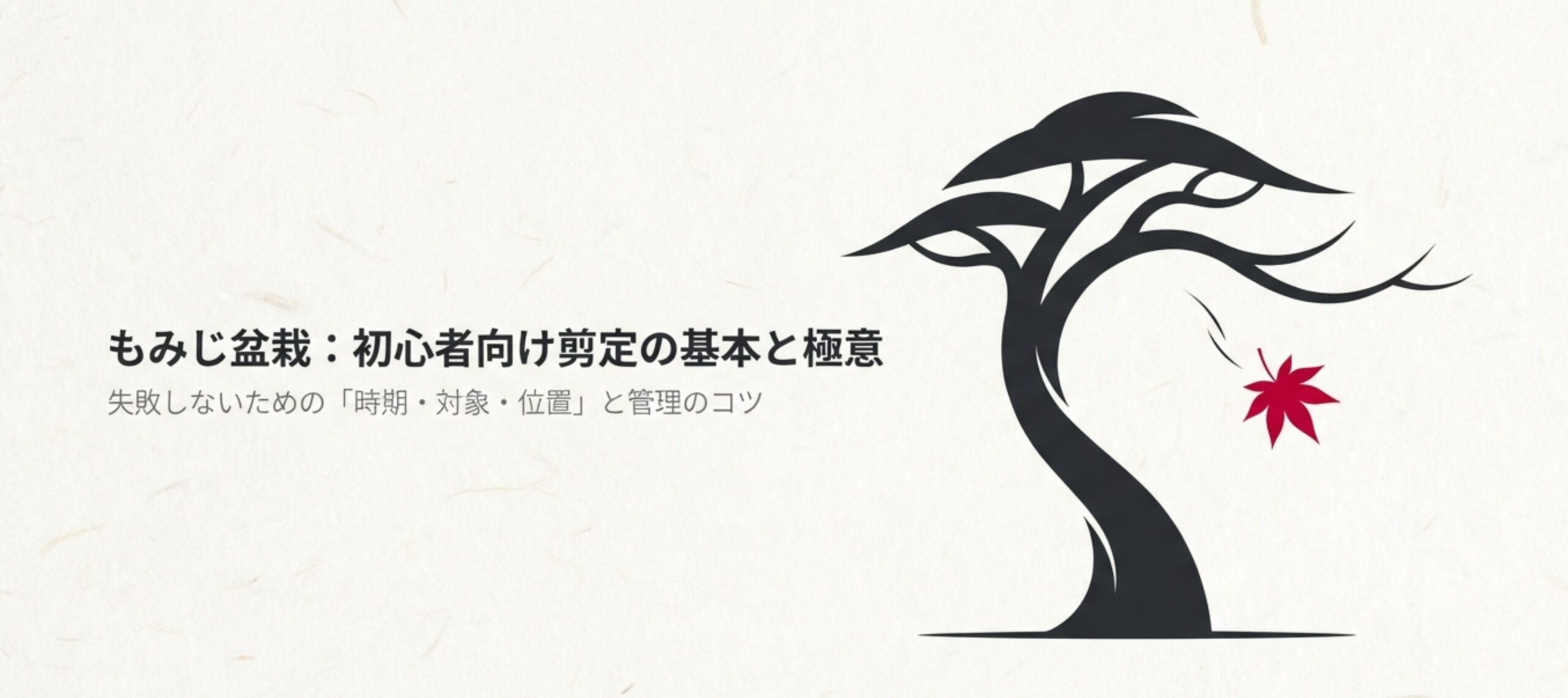 もみじ盆栽の初心者向け剪定ガイドの表紙スライド。失敗しないための時期、対象、位置、管理のコツを網羅した資料のタイトル。