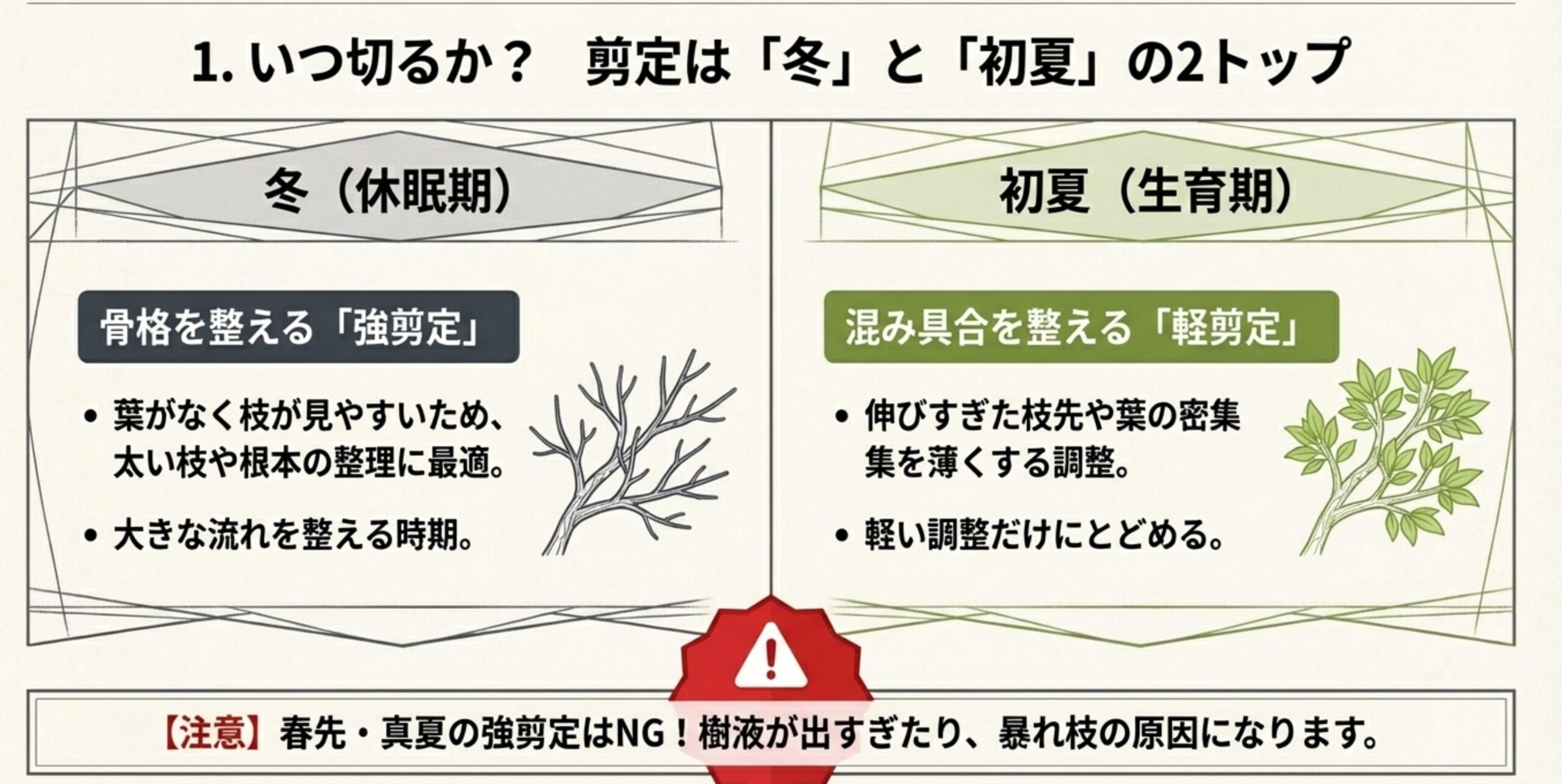 冬の休眠期に行う「強剪定」と、初夏の生育期に行う「軽剪定」の違いを説明するスライド。春先や真夏の強剪定がNGである注意点を含む。