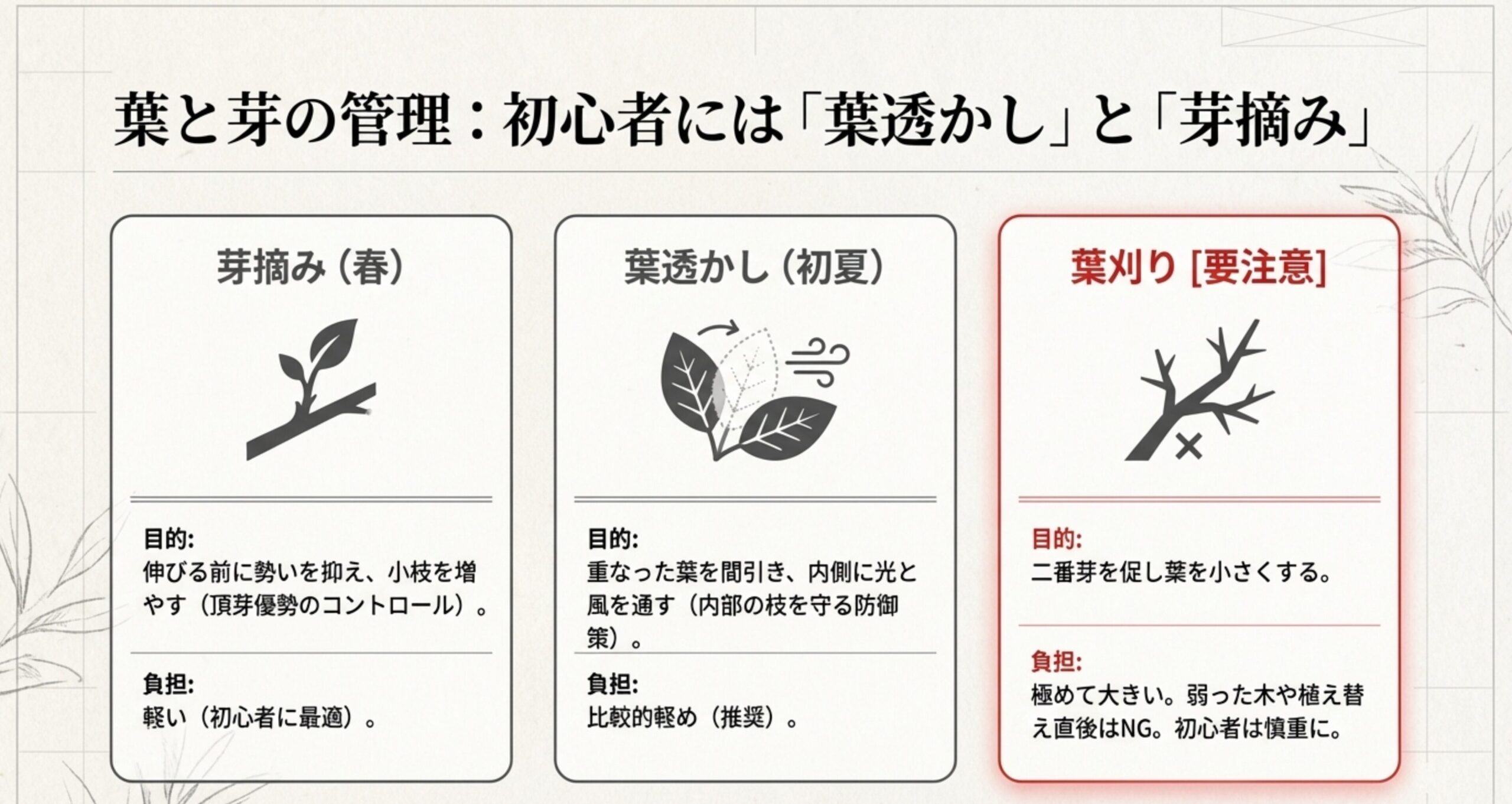 芽摘み(春)、葉透かし(初夏)、葉刈りの目的と負担を比較した表。初心者に最適な芽摘みと推奨される葉透かし、慎重に行うべき葉刈りの違いを説明。