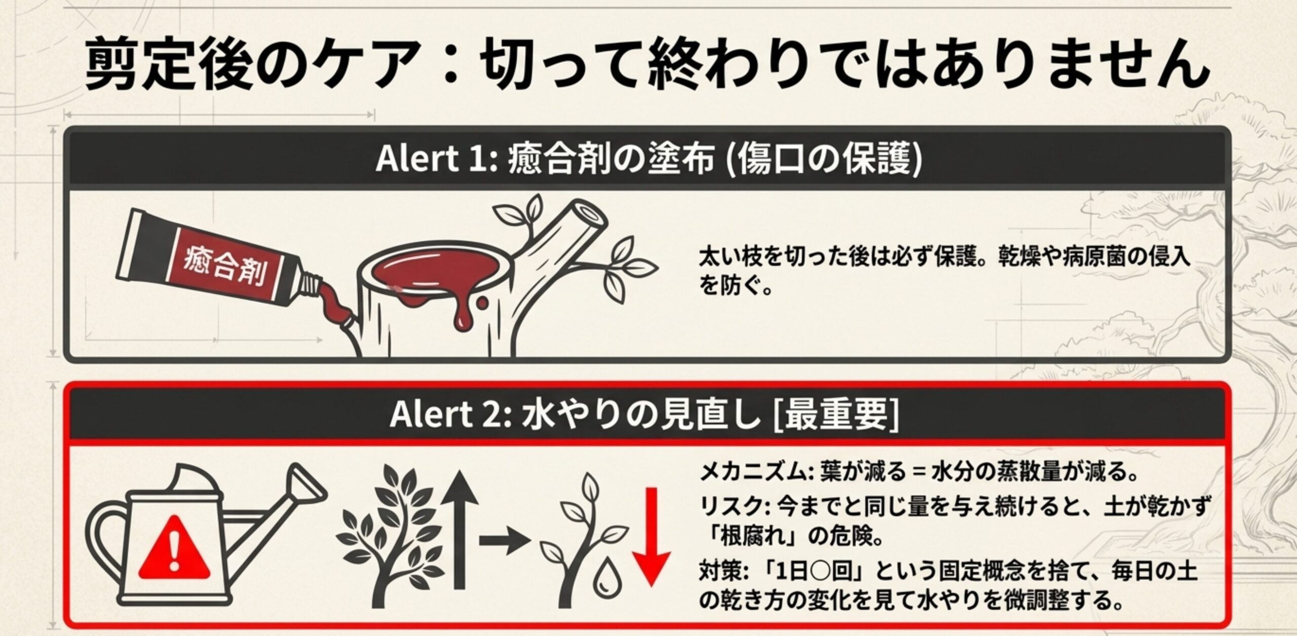太枝の切り口を保護する癒合剤の塗布と、葉が減った後の水やりの注意点。葉の減少により蒸散が減るため、根腐れを防ぐための微調整が必要であることを説明。