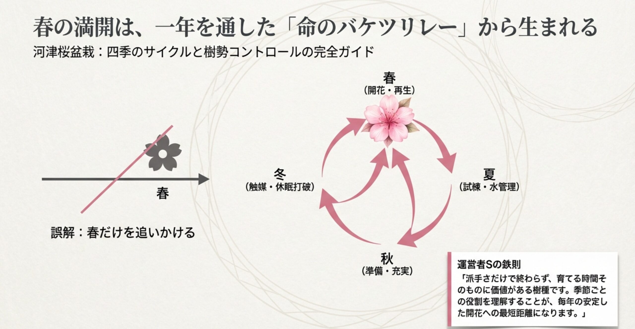 河津桜盆栽の冬・春・夏・秋それぞれの役割（休眠打破、開花、水管理、準備）を示すサイクル図