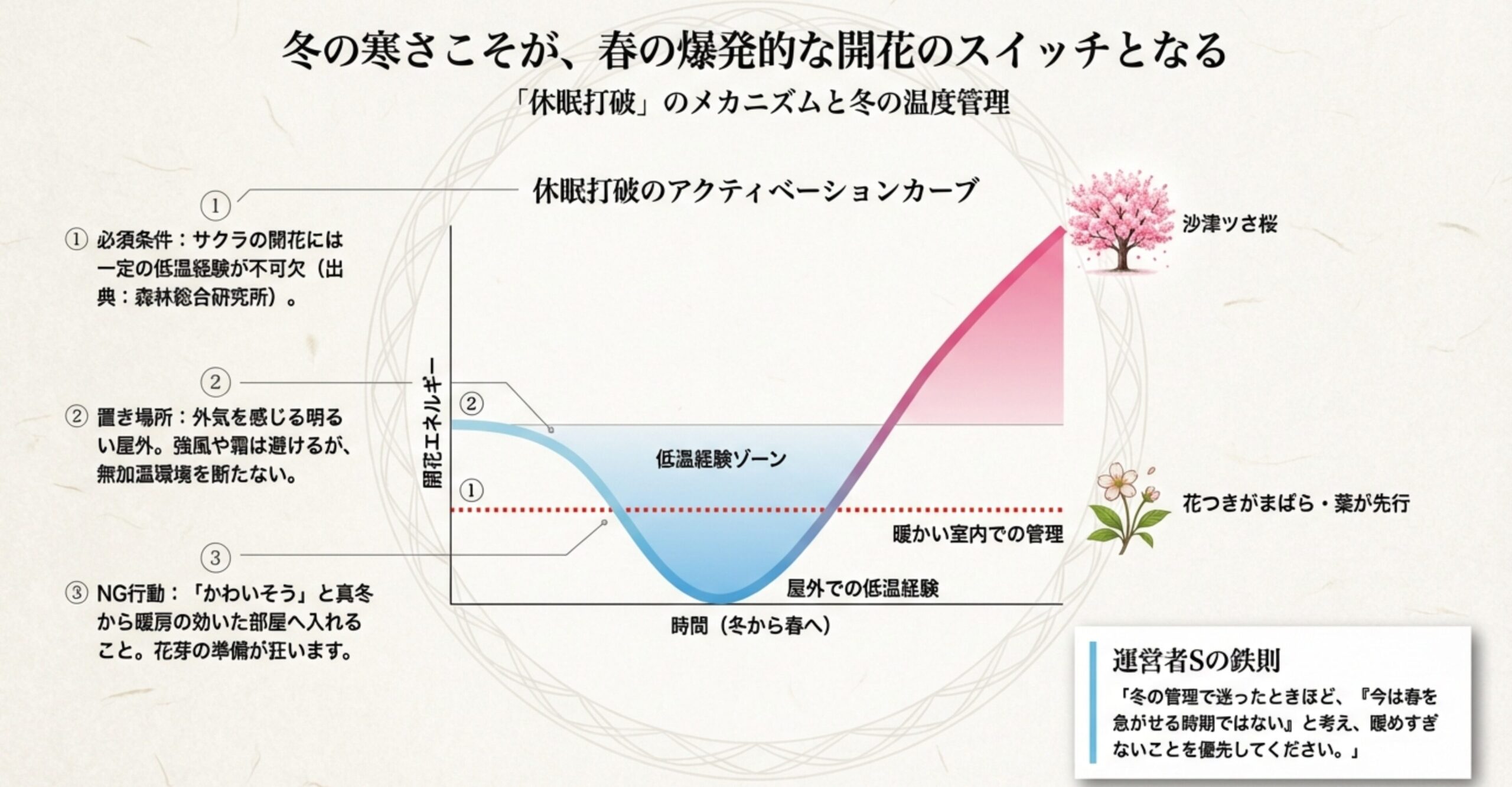 冬の低温経験が春の開花エネルギーにつながることを示す曲線図と、暖かい室内管理のリスク解説