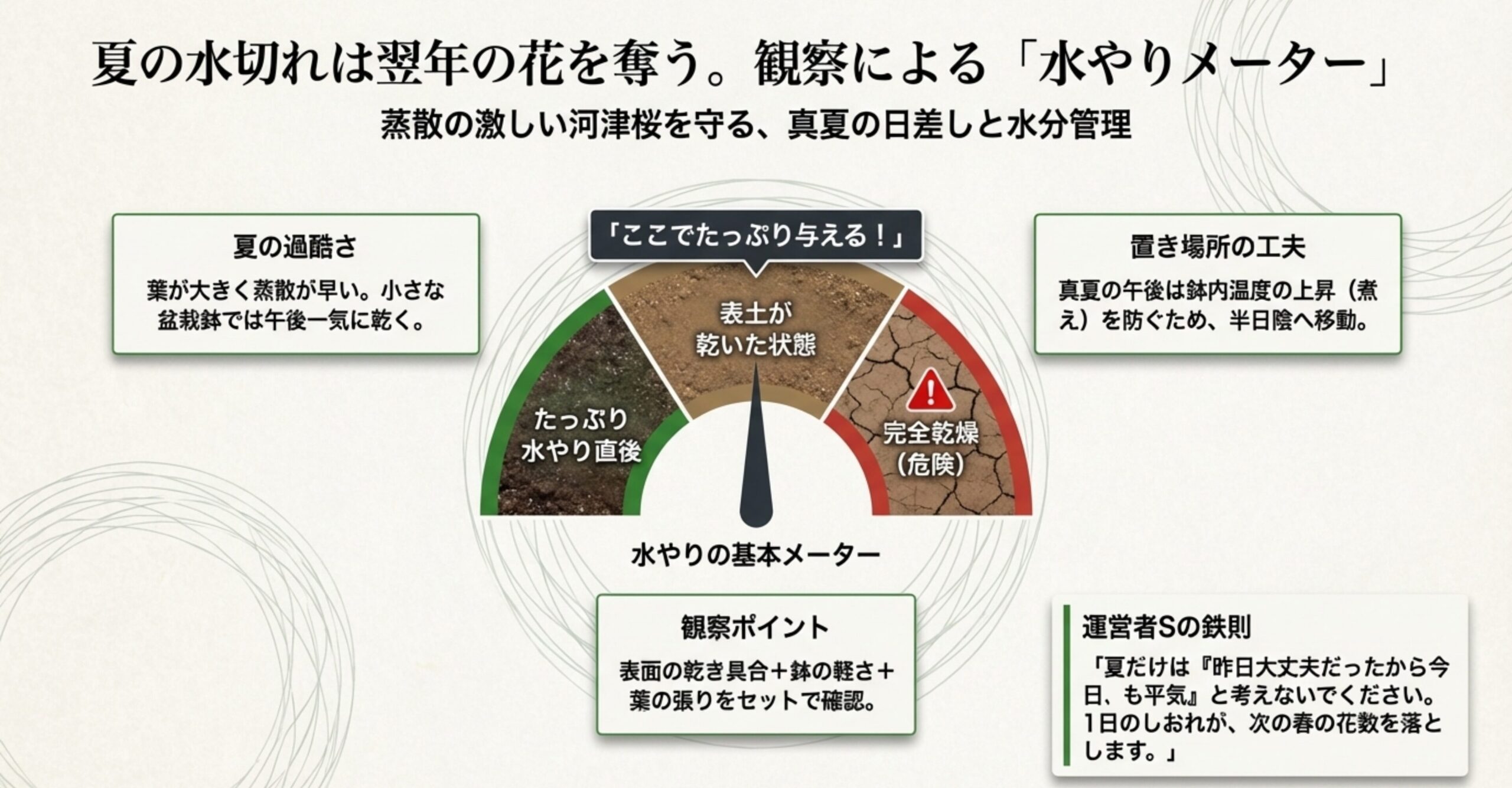 表土の乾き具合と鉢の軽さで判断する水やりメーターと、夏の置き場所の工夫(半日陰への移動)