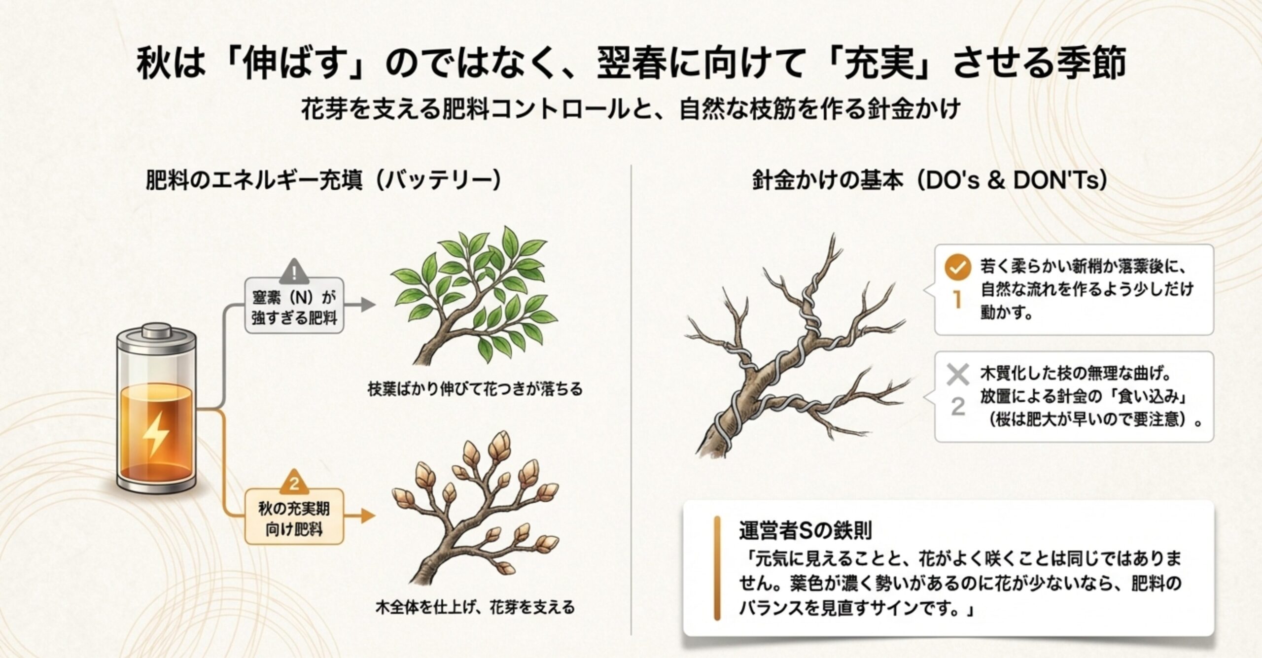 窒素過多による花つき悪化の注意点と、針金かけの適切な時期や「食い込み」のリスク管理