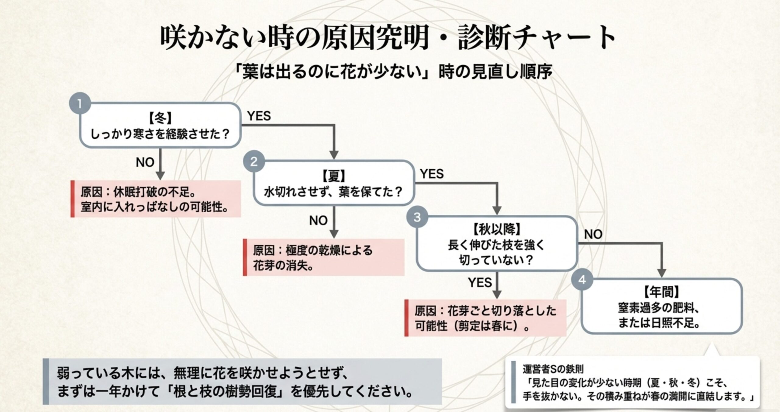 冬の寒さ、夏の乾燥、秋の剪定など、花が咲かない原因を季節ごとに遡って特定するフローチャート