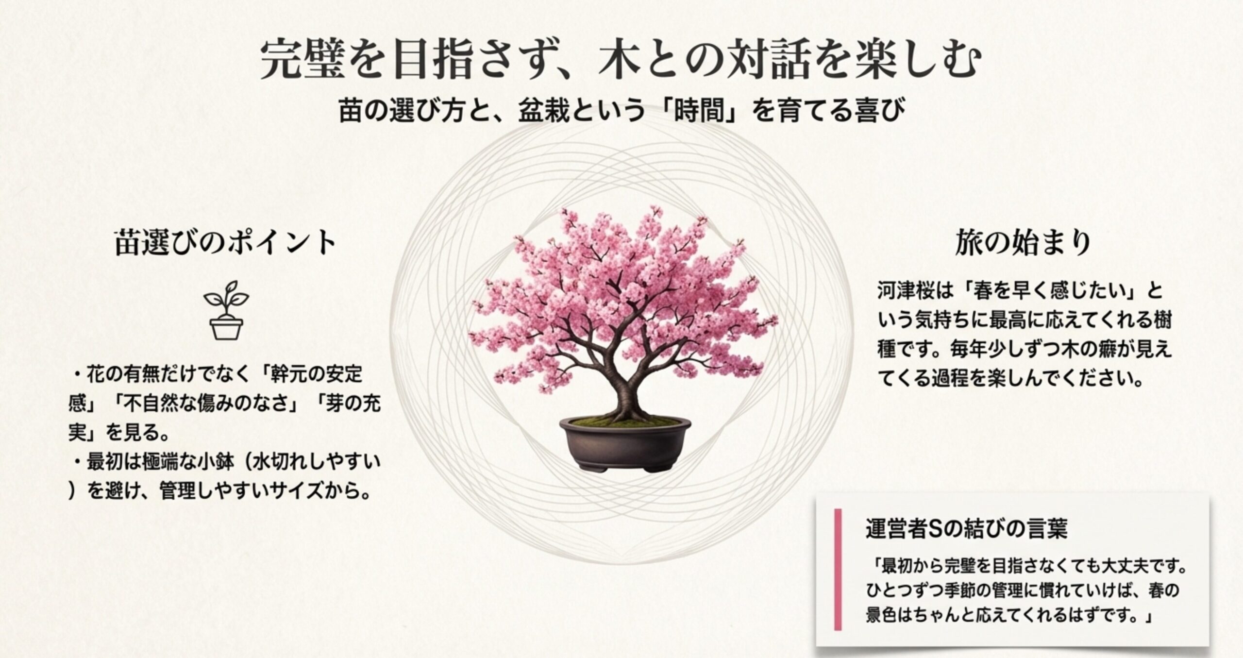 幹元の安定感や芽の充実など苗選びのチェックポイントと、完璧を目指さない盆栽の楽しみ方
