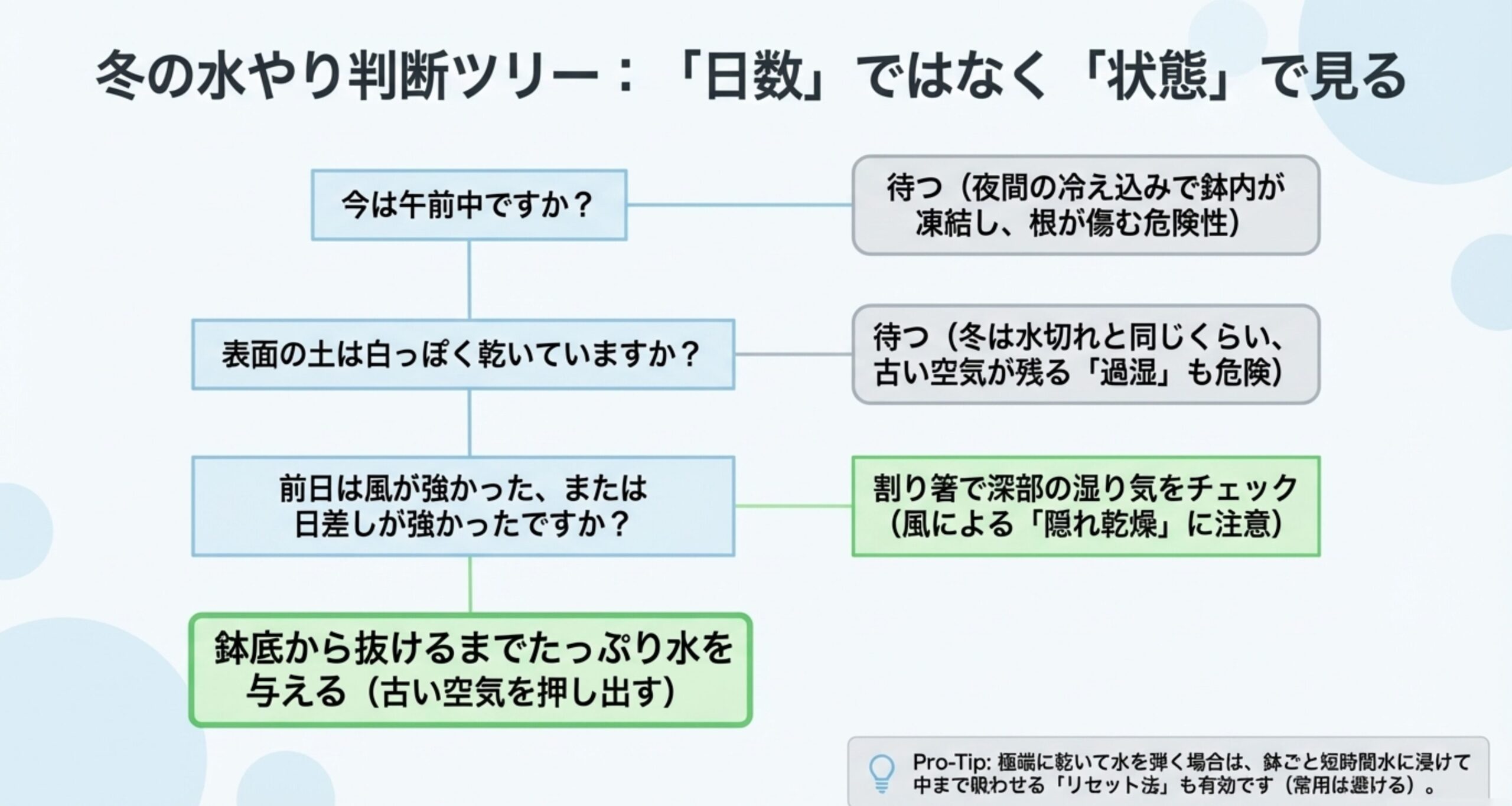 「今は午前中か」「土は乾いているか」などの質問に沿って、水を与えるか待つかを判断できるフローチャート。水切れだけでなく過湿への注意も促している。