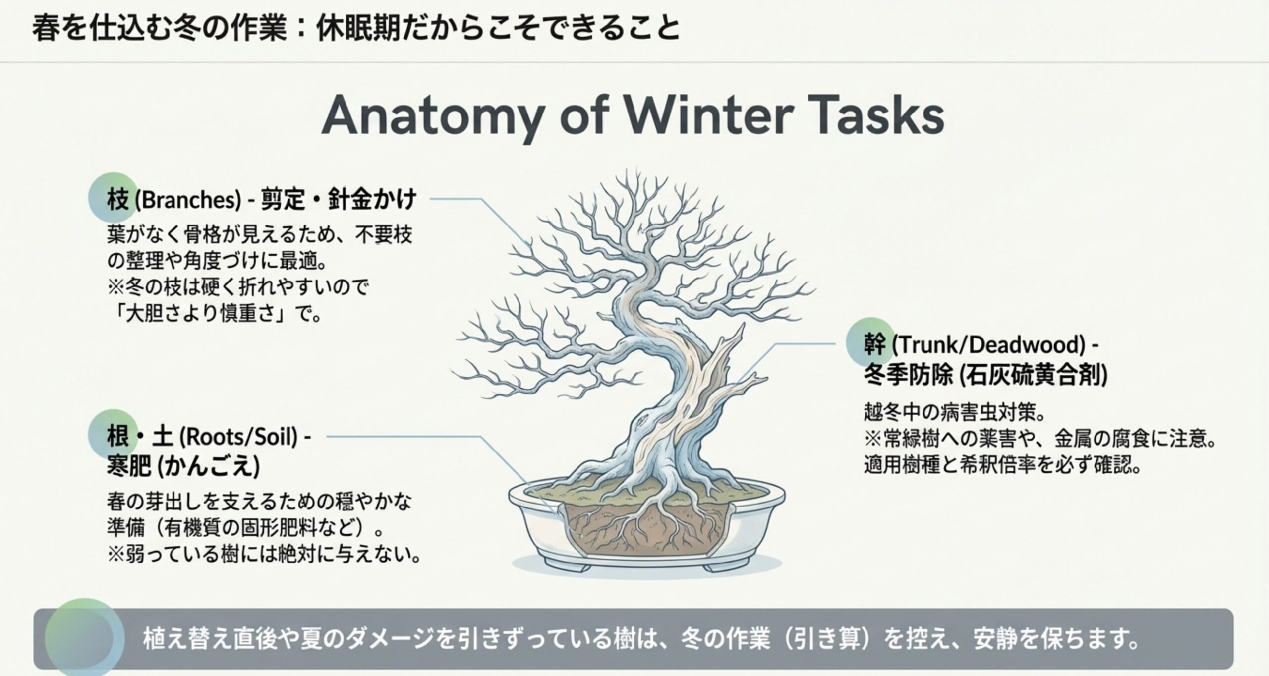 葉のない冬に行う「枝の整理(剪定・針金)」「根の準備(寒肥)」「幹の保護(消毒)」を部位別に示したイラスト。