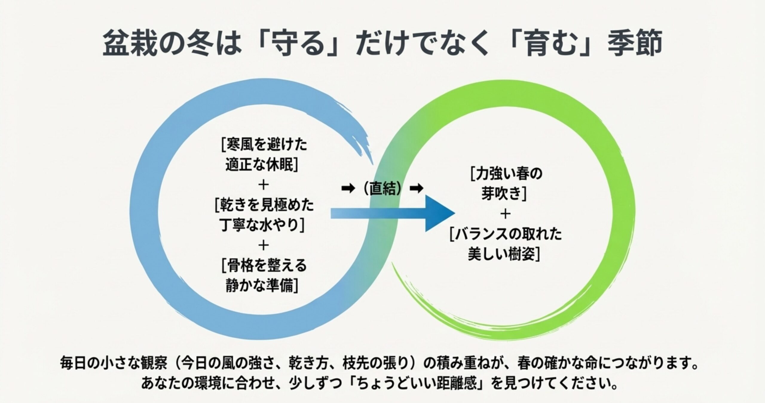 休眠、水やり、準備の3つの要素が、力強い春の芽吹きと美しい樹姿に直結することを示したまとめの概念図。