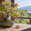 葉先が茶色く枯れ込んだミニもみじ盆栽