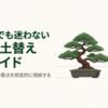 はじめてでも迷わない盆栽の土替え完全ガイドのタイトルスライド。時期・用土・管理の要点を解説 。