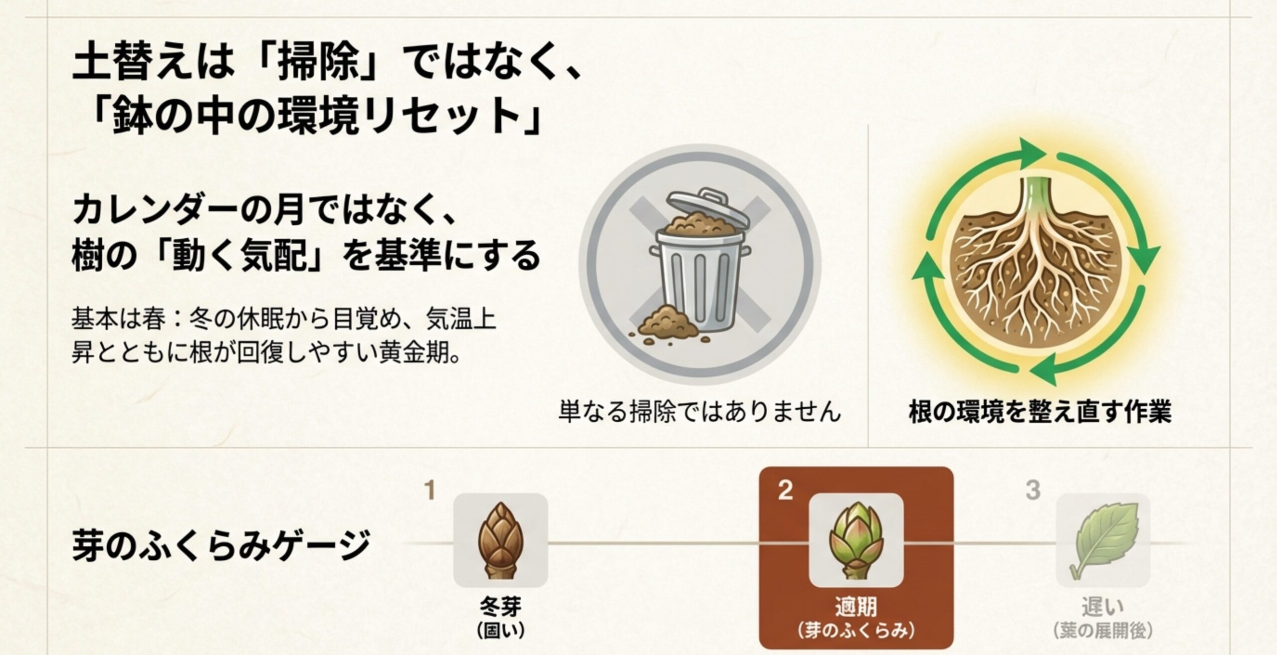 土替えは単なる掃除ではなく鉢の中の環境リセットであるという解説と、芽の膨らみによる適期の判断基準 。