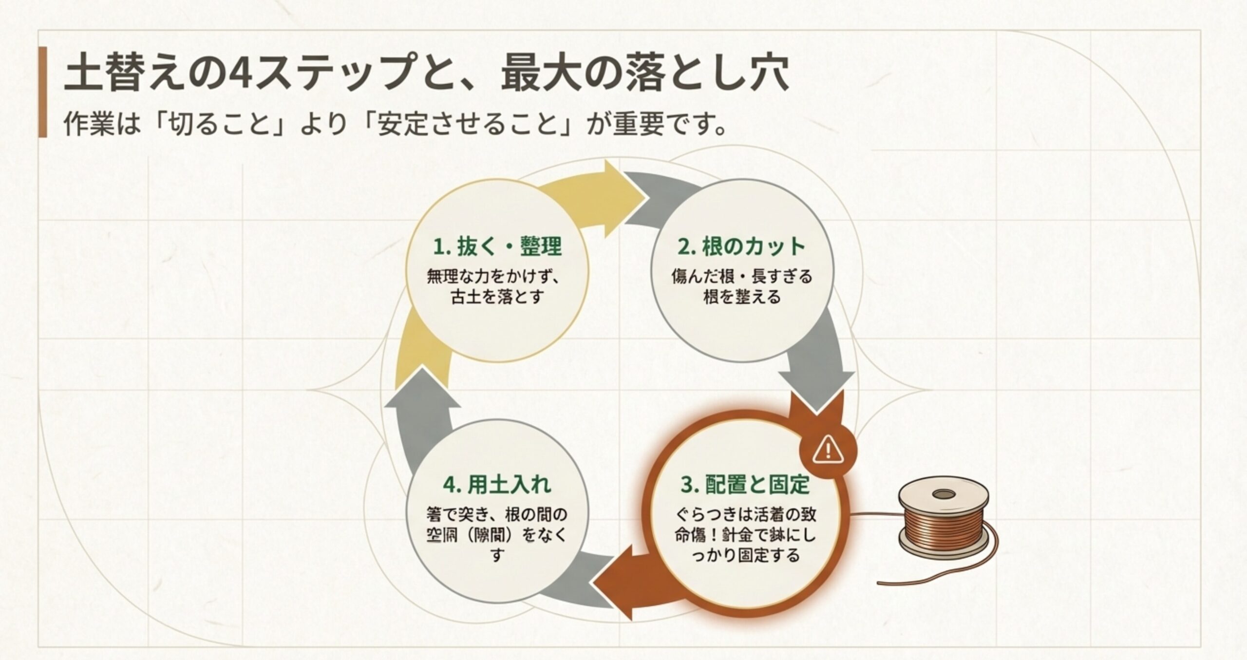 抜く・整理、根のカット、配置と固定、用土入れという、盆栽の土替え作業の具体的な4つの手順 。