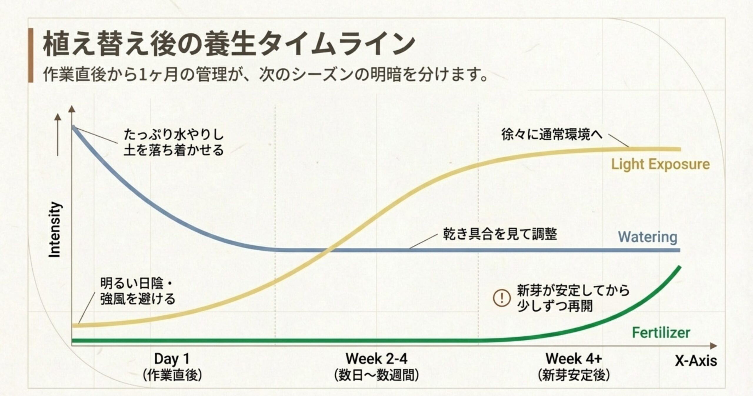 作業直後から新芽安定後までの、水やり、日光、肥料の強度を時系列で示したグラフ 。