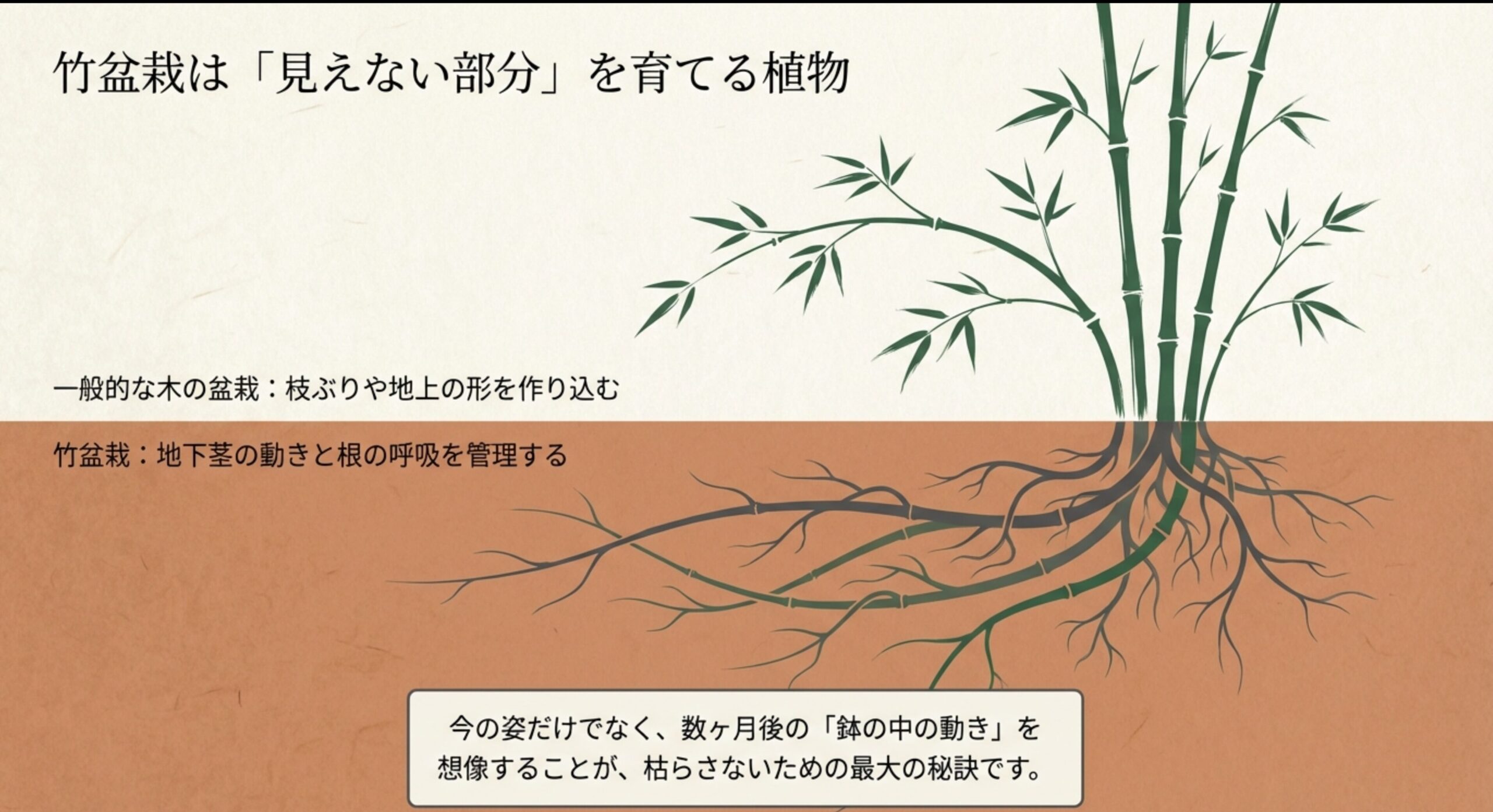 一般的な木の盆栽と竹盆栽の違いを説明するスライド。一般的な盆栽が地上の形を作り込むのに対し、竹盆栽は地下茎の動きと根の呼吸を管理することが重要であると解説している。