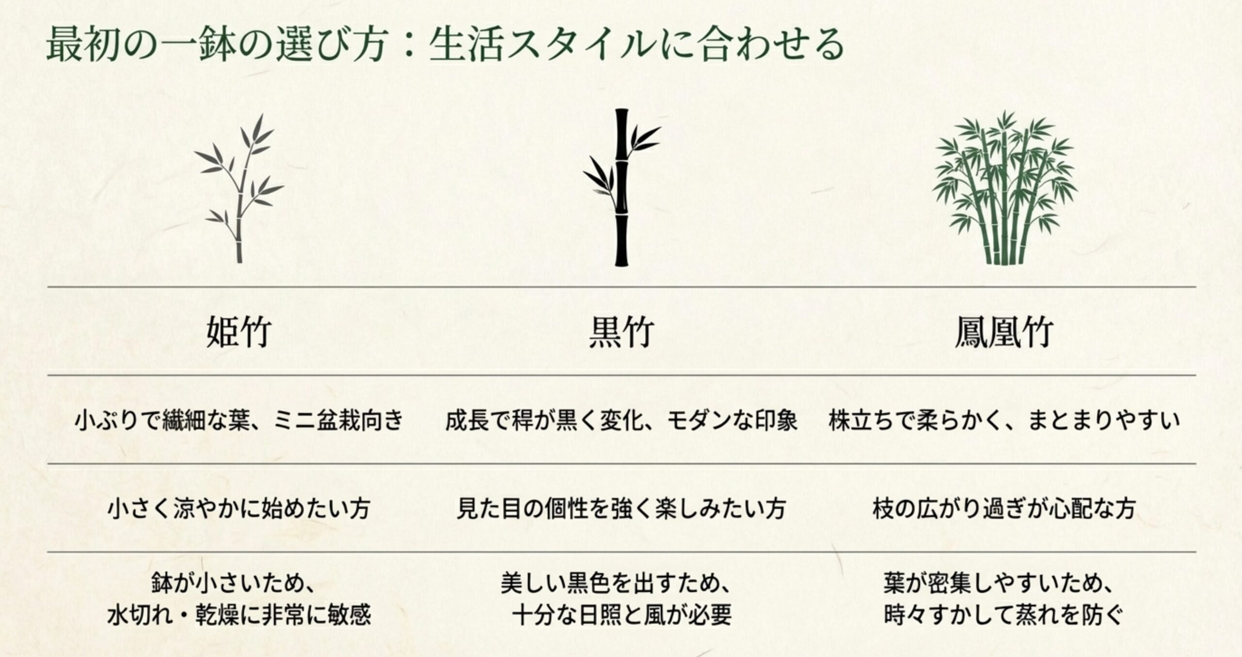 姫竹、黒竹、鳳凰竹の3種類の比較表。それぞれの特徴、向いている人、水切れや日照、蒸れ対策などの管理上の注意点がまとめられている。
