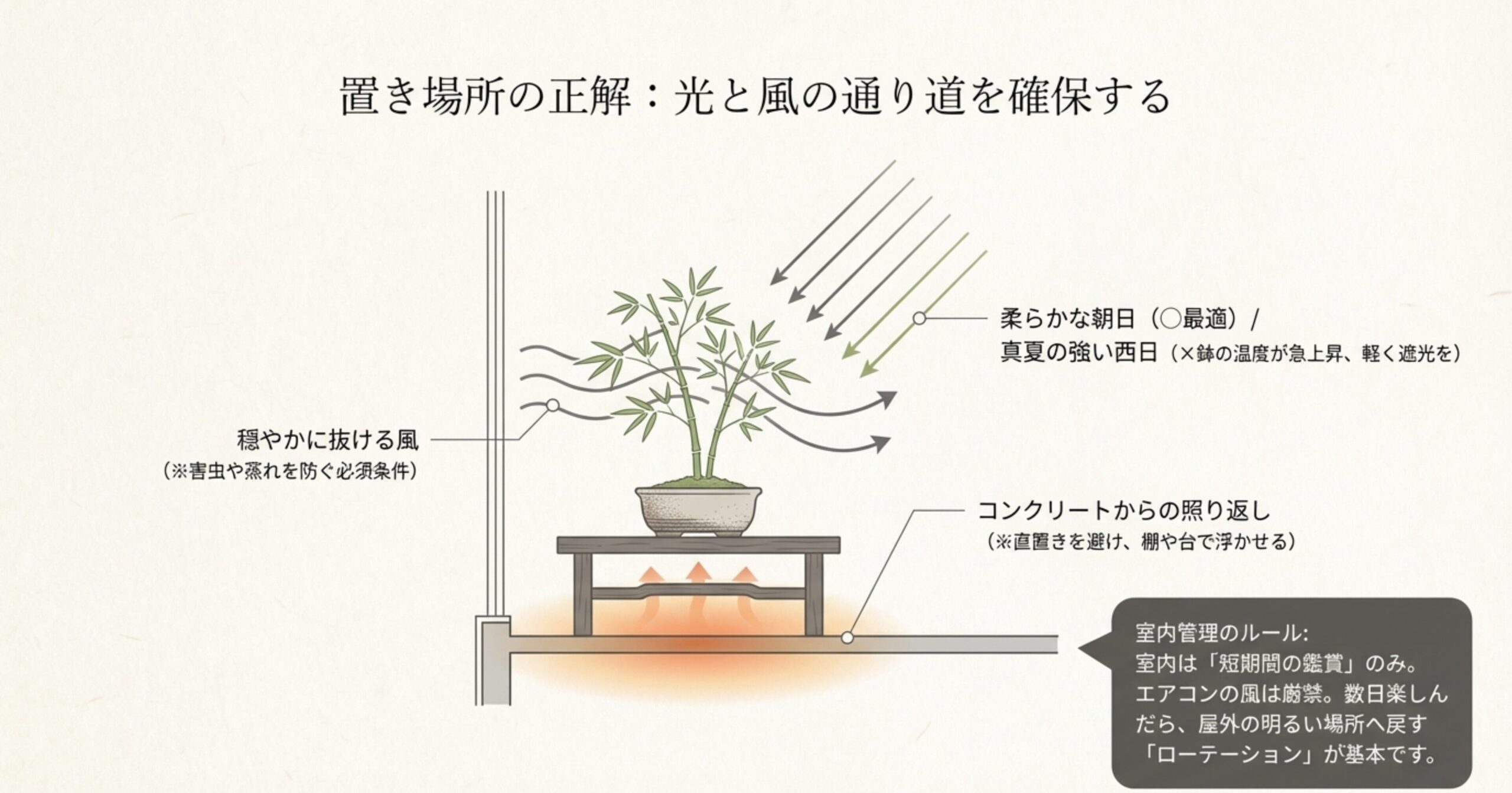 竹盆栽に適した置き場所を説明するイラスト。柔らかな朝日と穏やかな風を推奨し、コンクリートの照り返しや真夏の強い西日を避けること、室内では短期間のローテーションが基本であることが示されている。