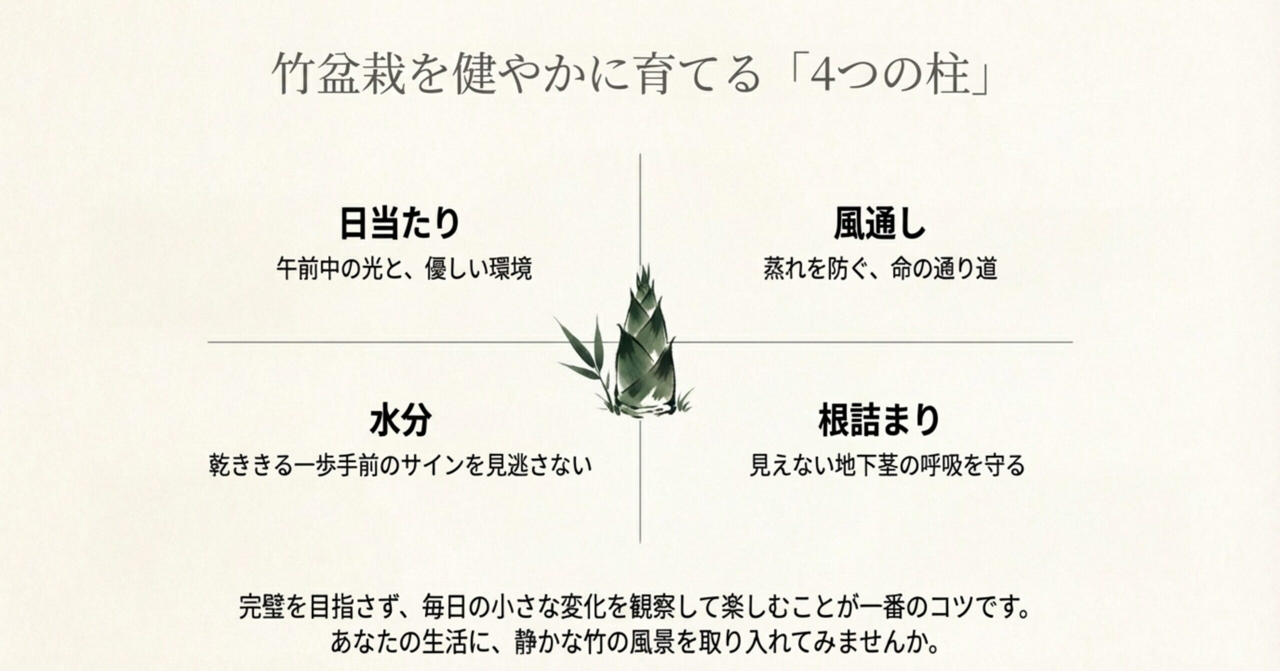 竹盆栽を健康に育てるための「日当たり」「水分」「風通し」「根詰まり」の4つの重要ポイントをまとめたスライド 。
