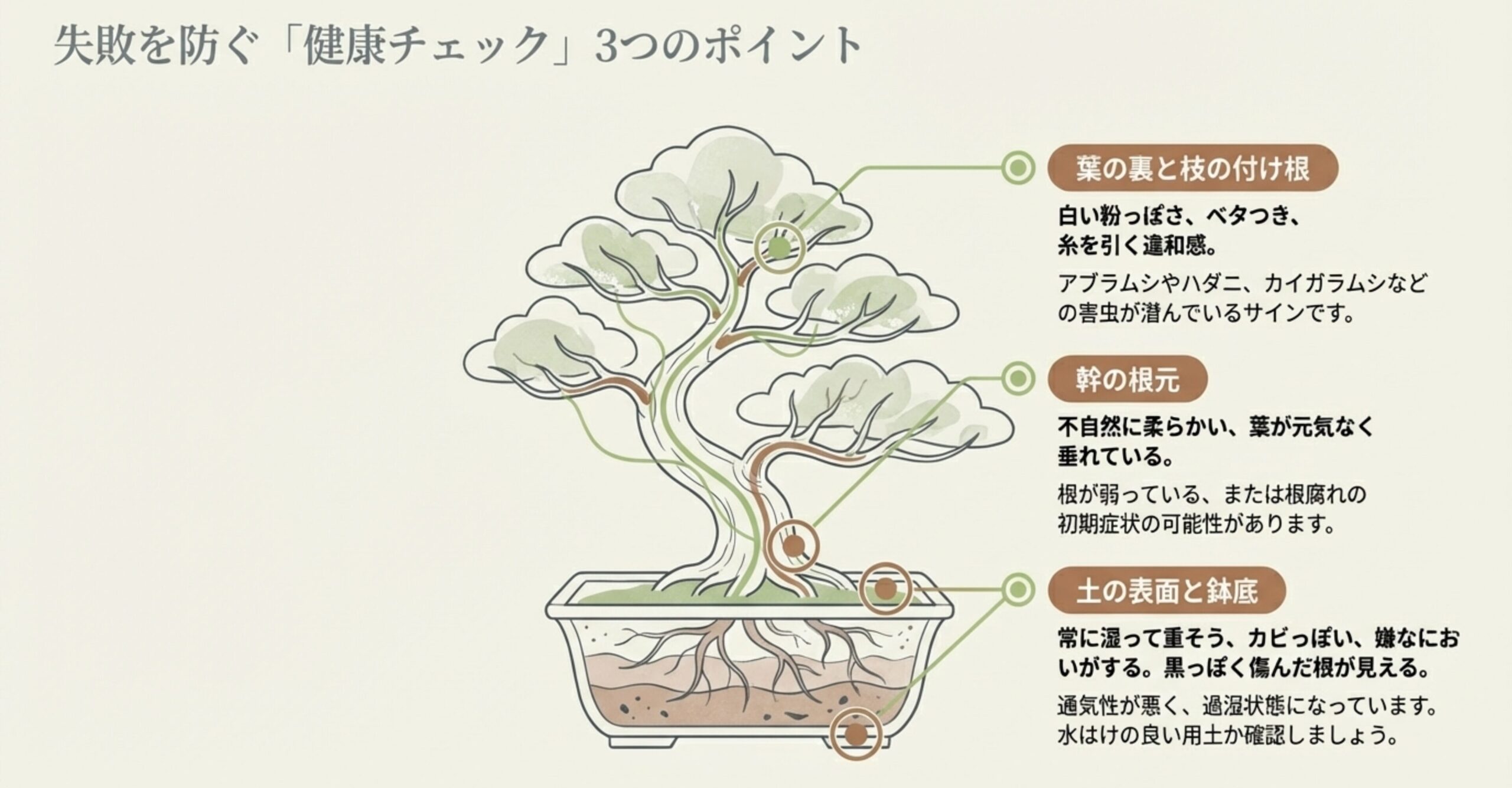 盆栽の健康状態を見分けるポイントとして、葉の裏と枝の付け根（害虫）、幹の根元（根腐れ）、土の表面と鉢底（過湿状態）の3箇所をチェックする図解イラスト。