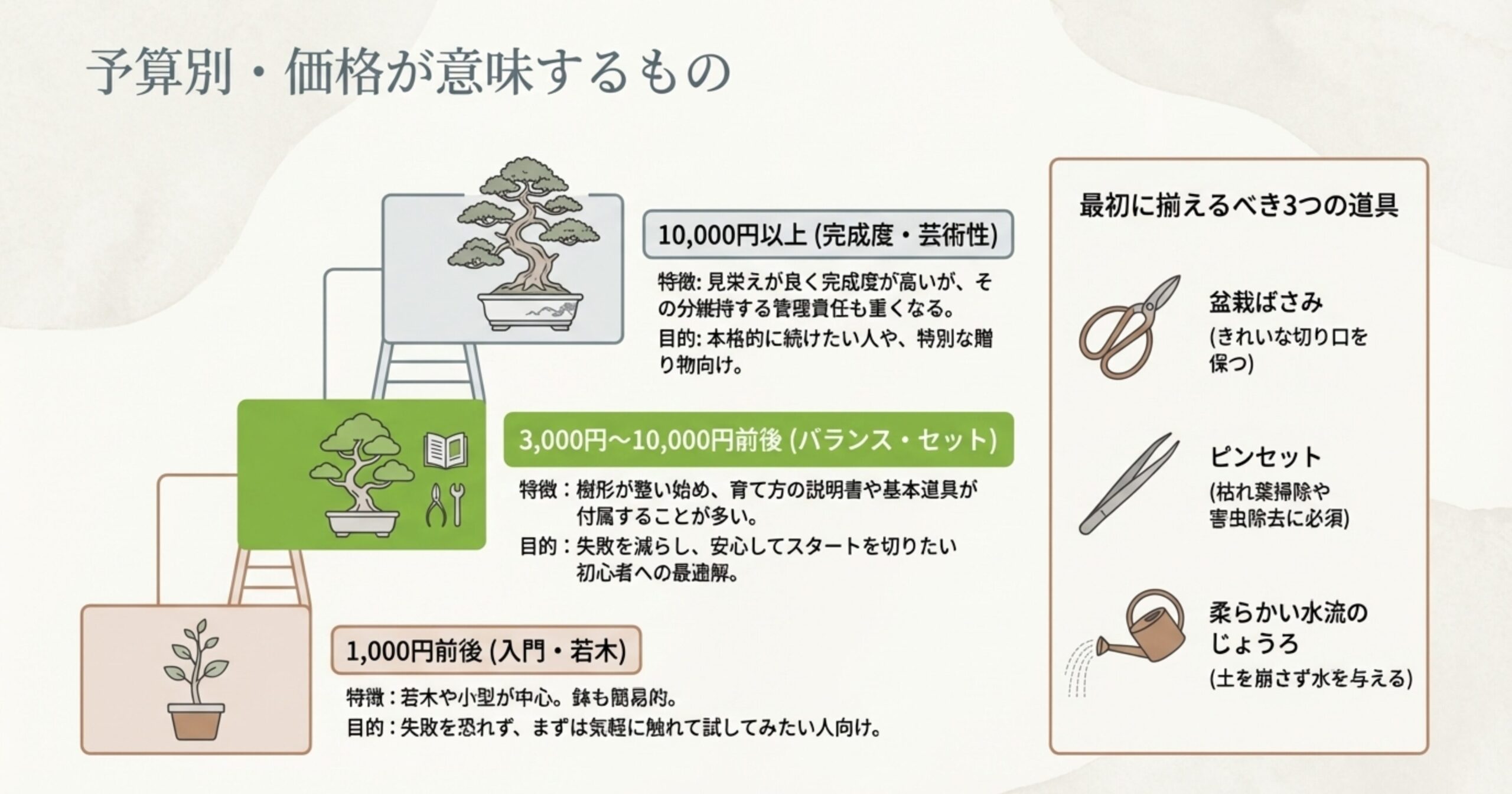1000円、3000〜10000円、10000円以上の予算別盆栽の特徴と、盆栽初心者が最初に揃えるべき盆栽ばさみ、ピンセット、じょうろの必須道具3点のイラスト。