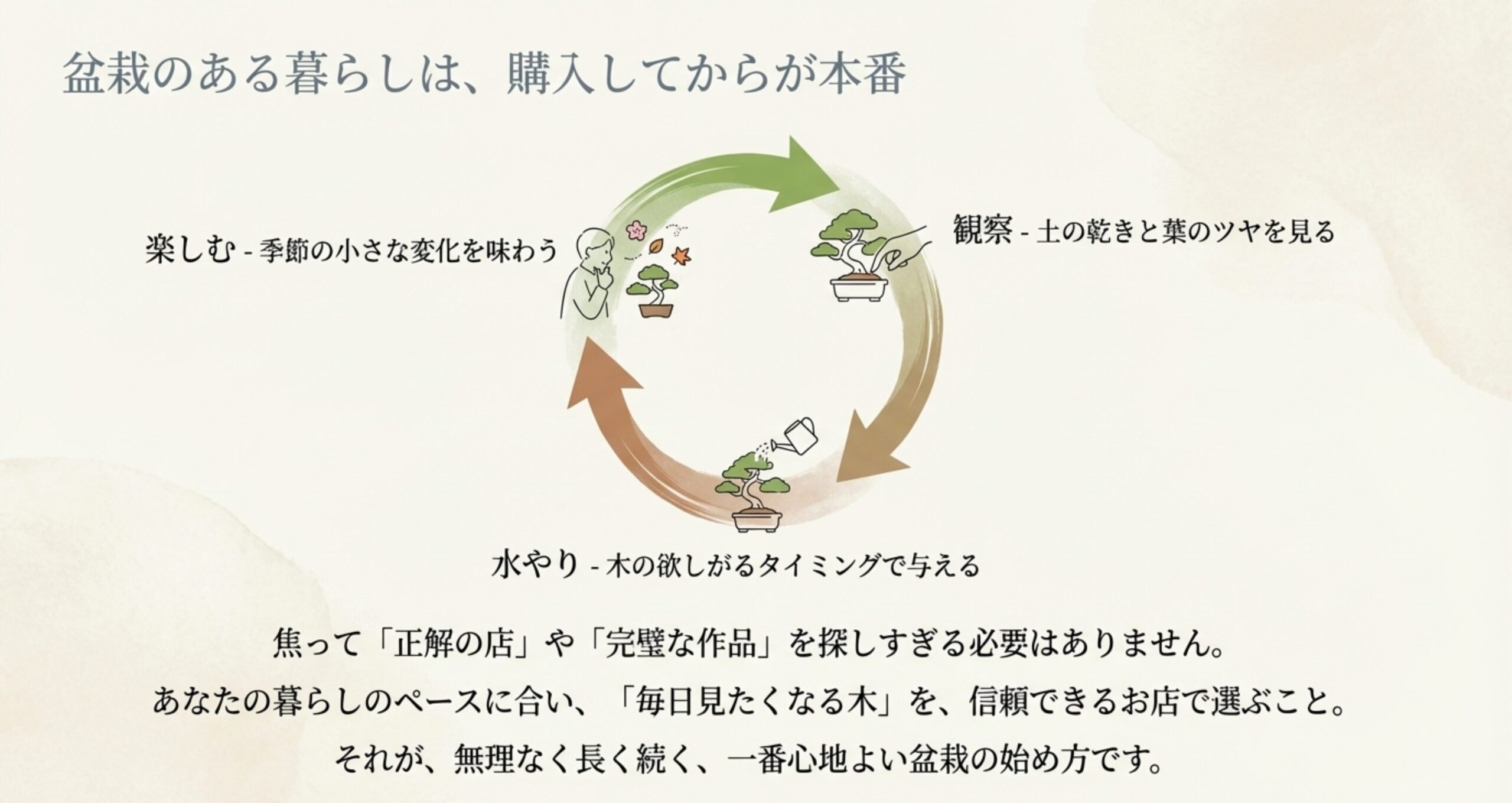 盆栽を購入した後は、楽しむ、観察する、水やりをするというサイクルが続くことを示すイラスト。無理なく長く続く心地よい盆栽の始め方を提案。