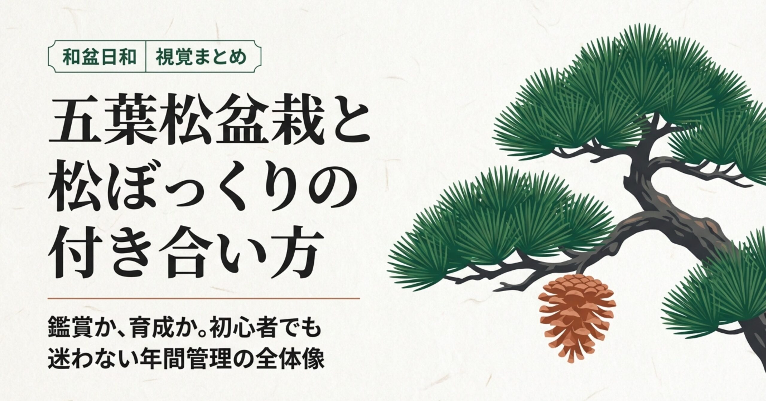 五葉松盆栽と松ぼっくりの付き合い方。鑑賞か育成か、初心者でも迷わない年間管理の全体像を示すスライド表紙。